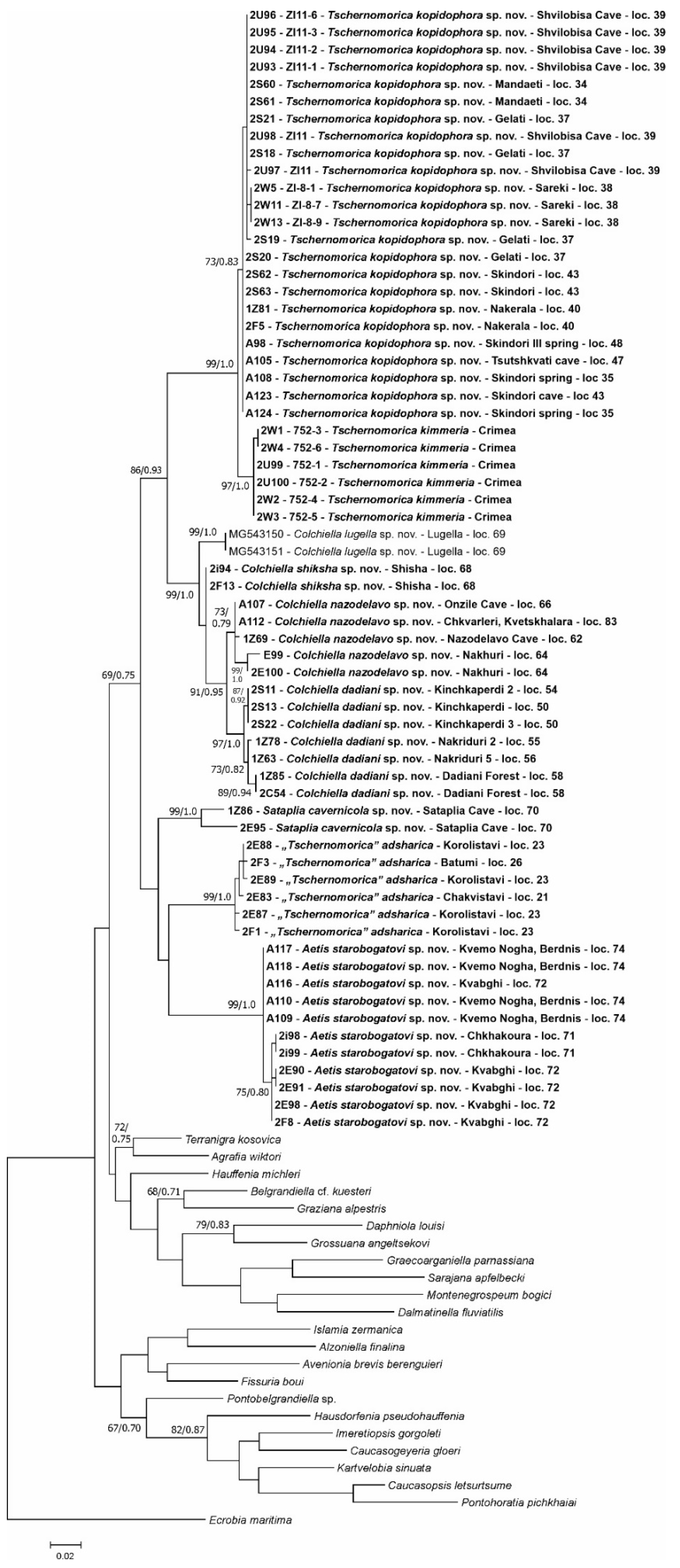 Diversity 15 00450 g004 Diversity 15 00450 g004