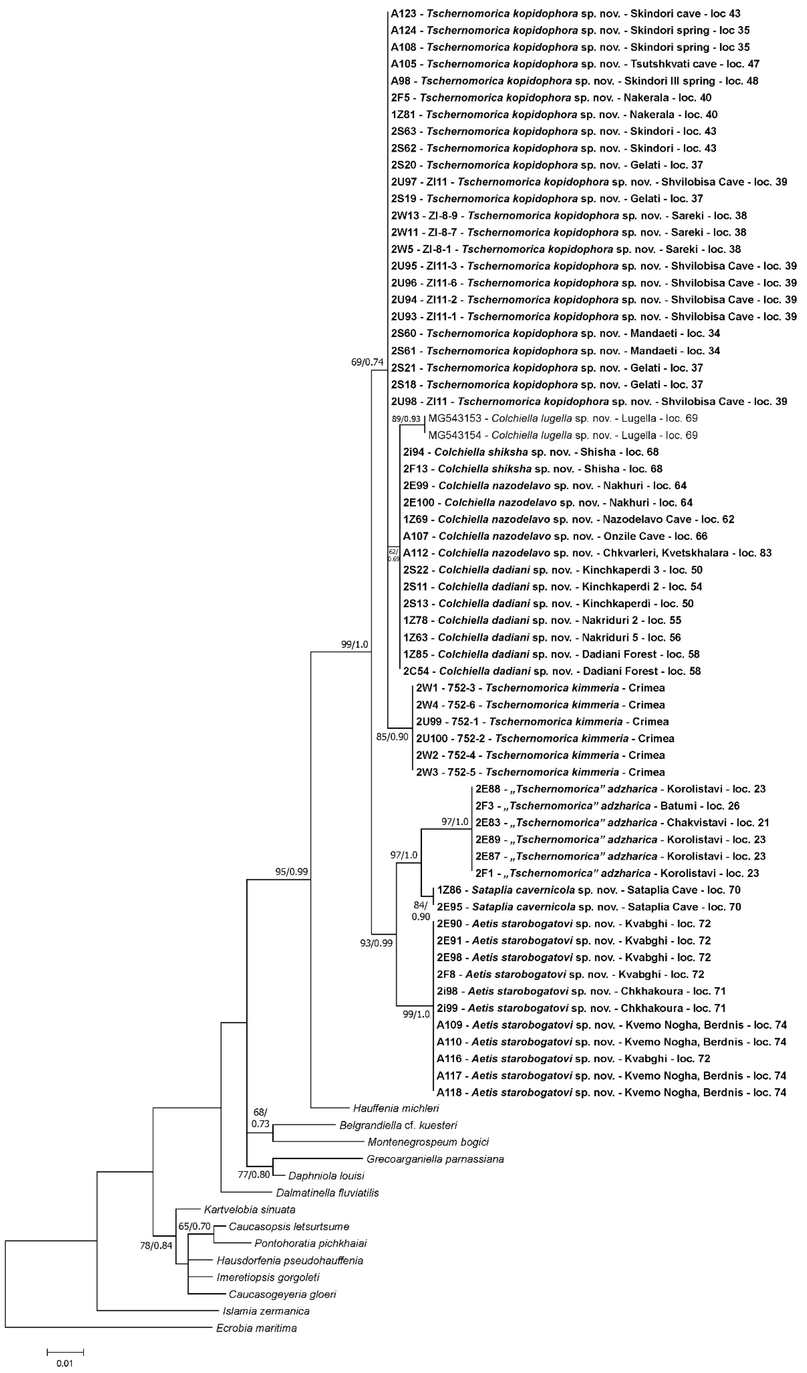 Diversity 15 00450 g005 Diversity 15 00450 g005