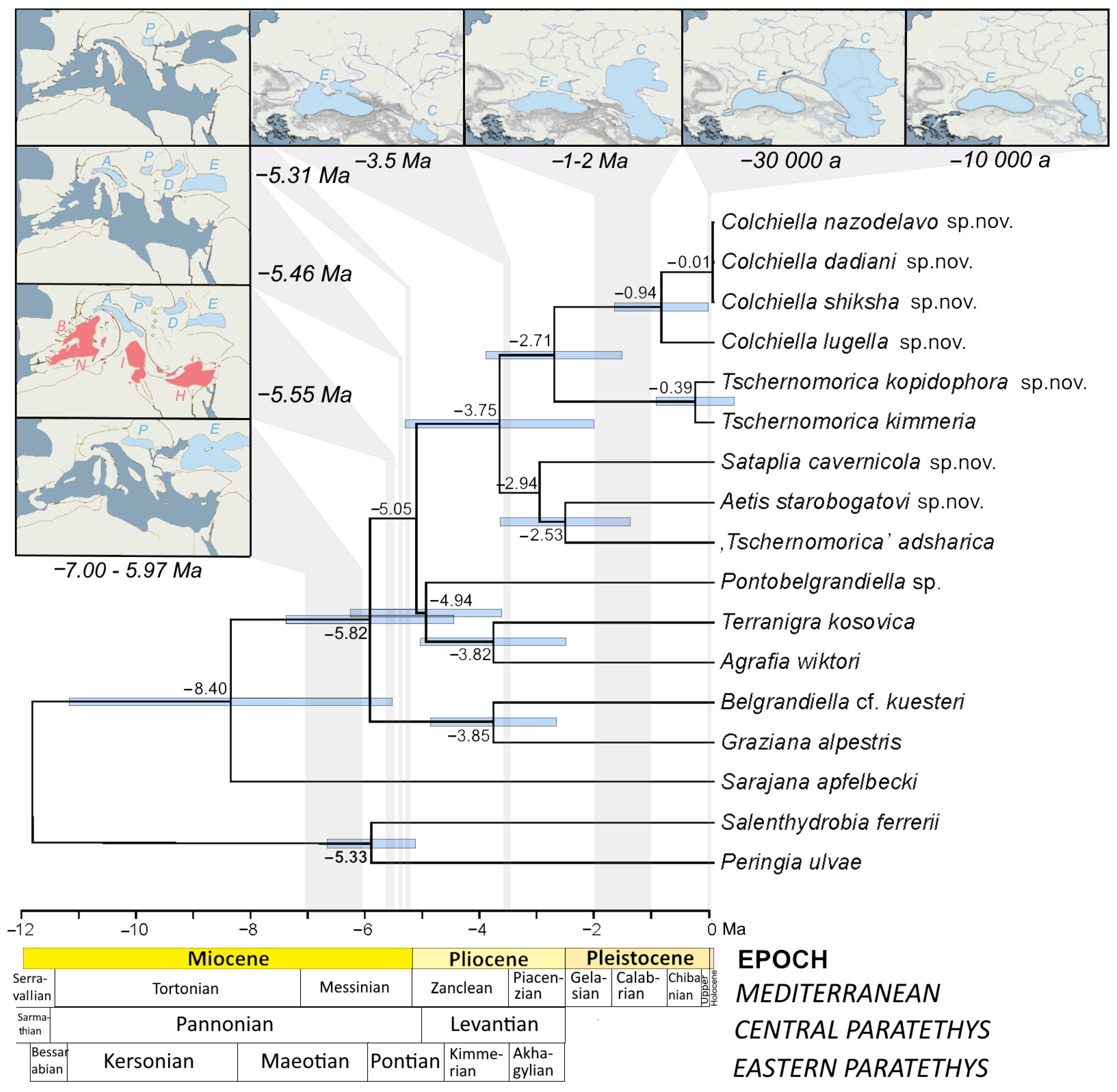Diversity 15 00450 g007 Diversity 15 00450 g007