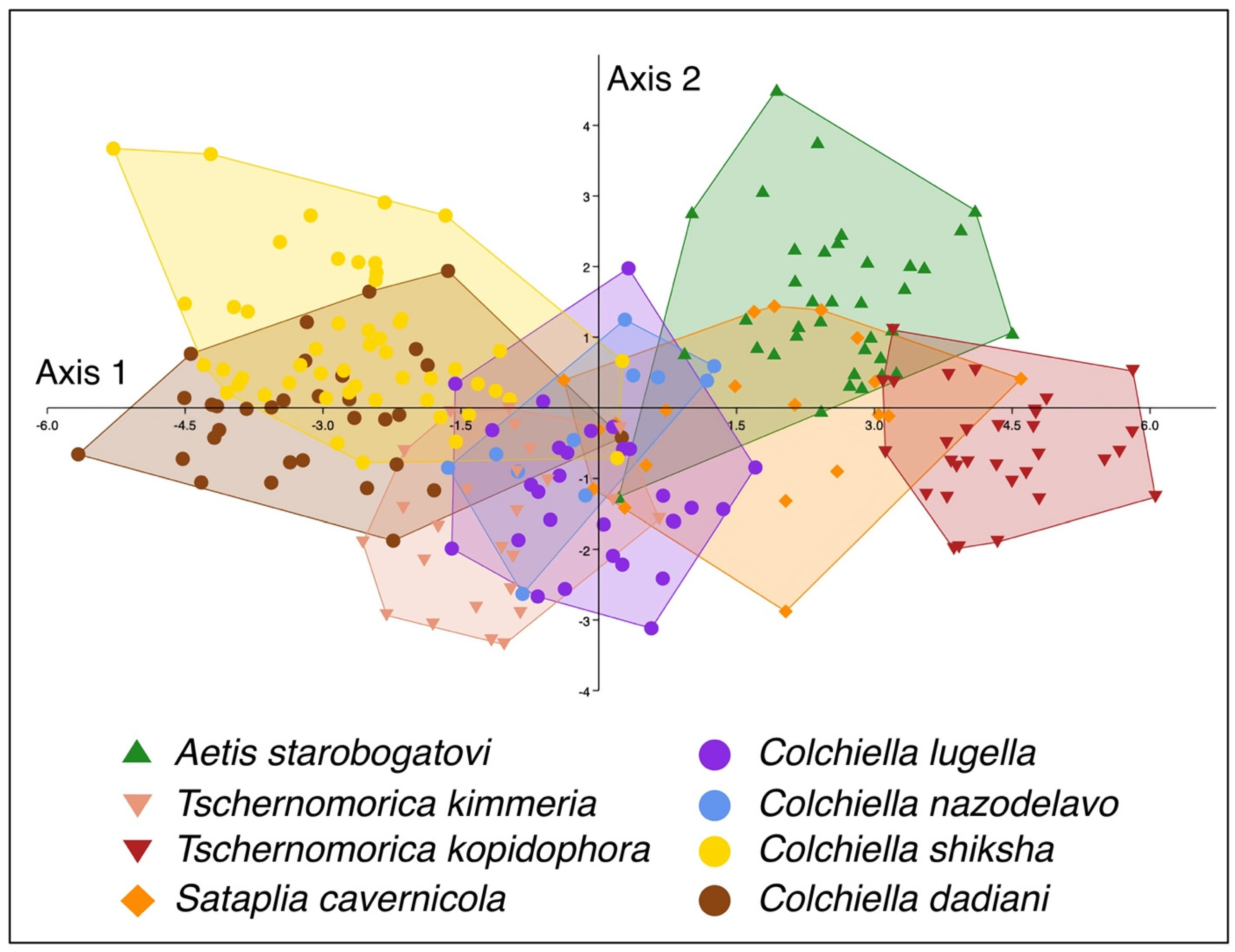 Diversity 15 00450 g008 Diversity 15 00450 g008