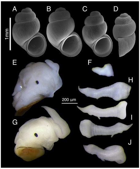 Diversity 15 00450 g010