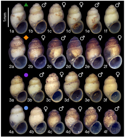 Diversity 15 00450 g015