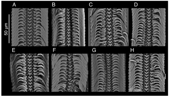 Diversity 15 00450 g018