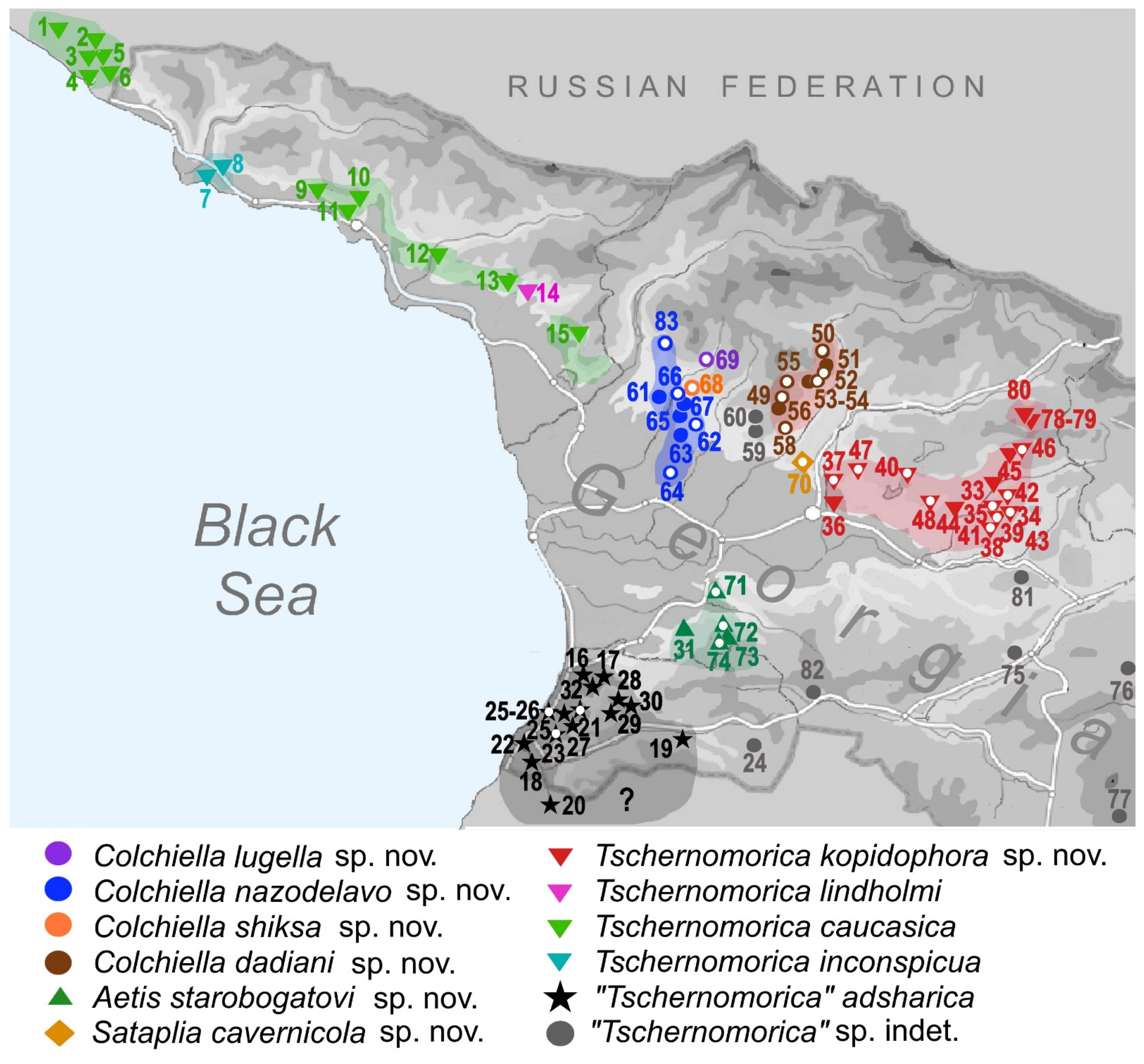 Diversity 15 00450 g020 Diversity 15 00450 g020