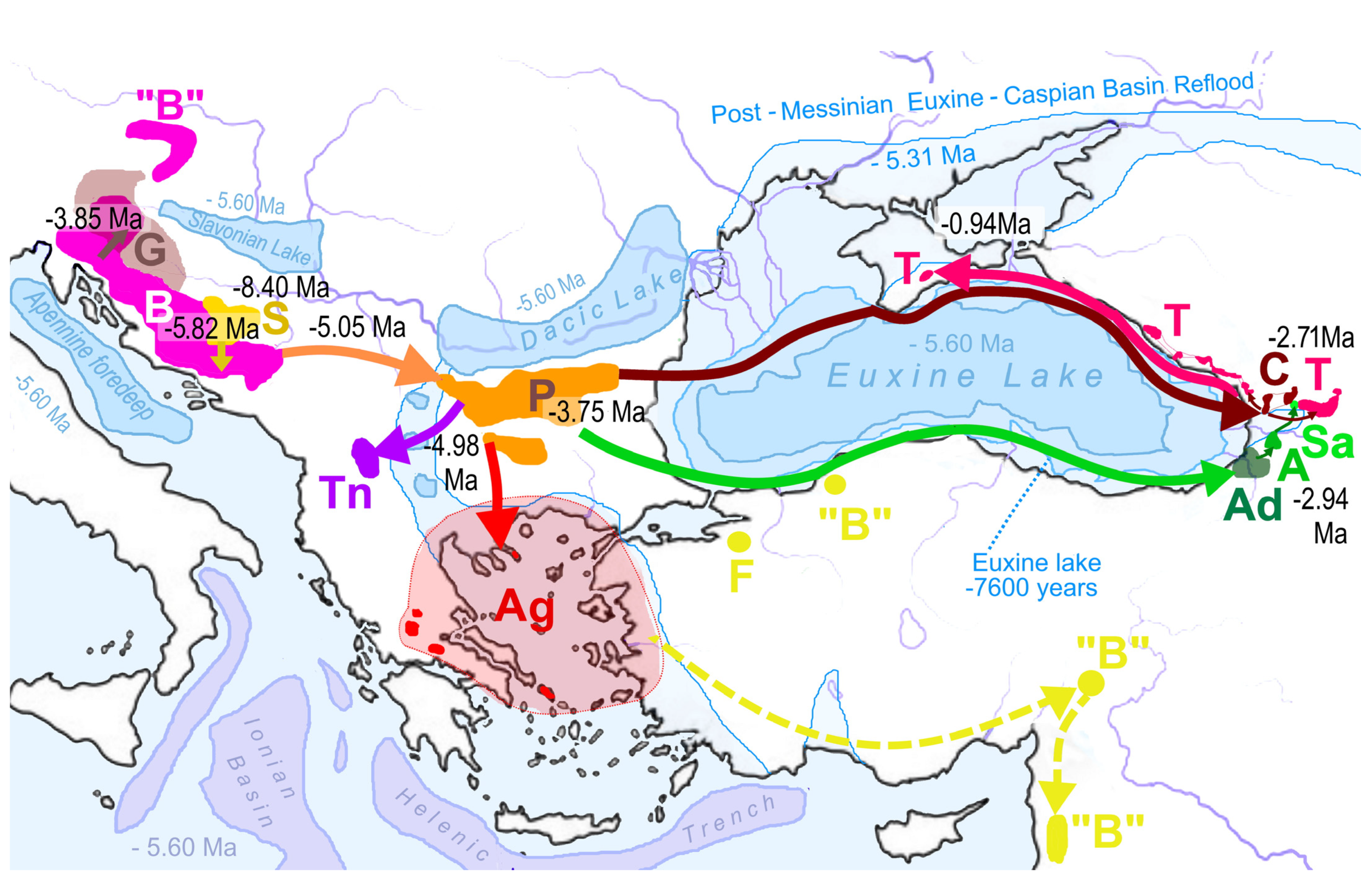 Diversity 15 00450 g022 Diversity 15 00450 g022