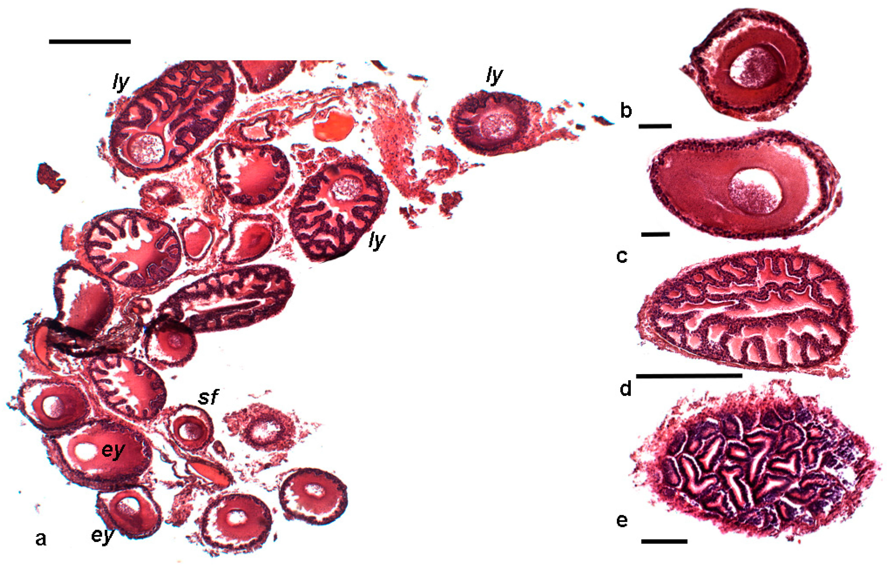 Diversity 15 00455 g004