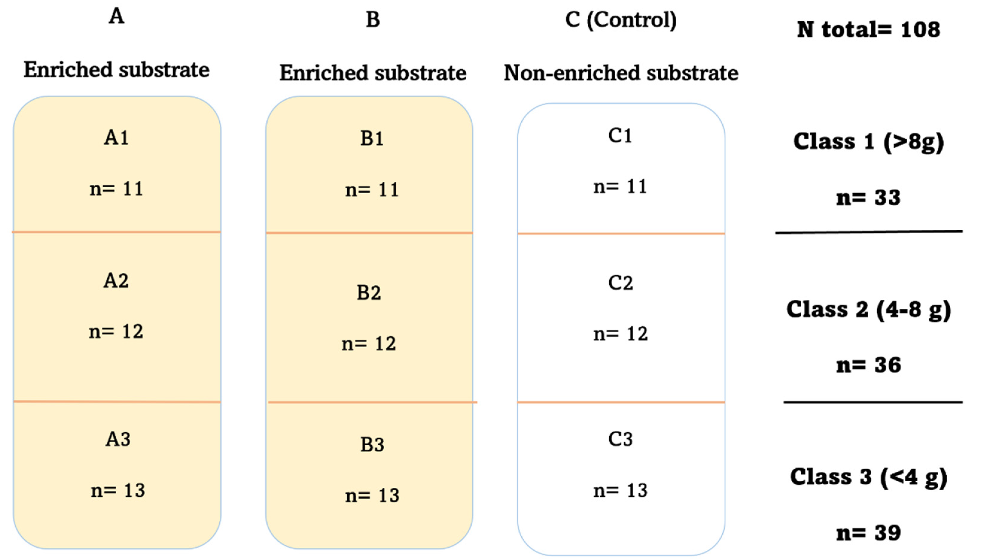 Diversity 15 00458 g001