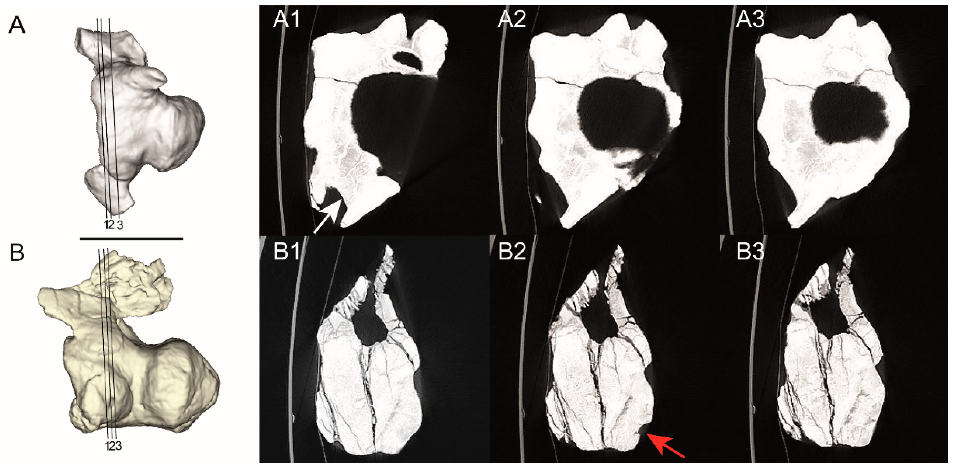 Diversity 15 00464 g003 Diversity 15 00464 g003