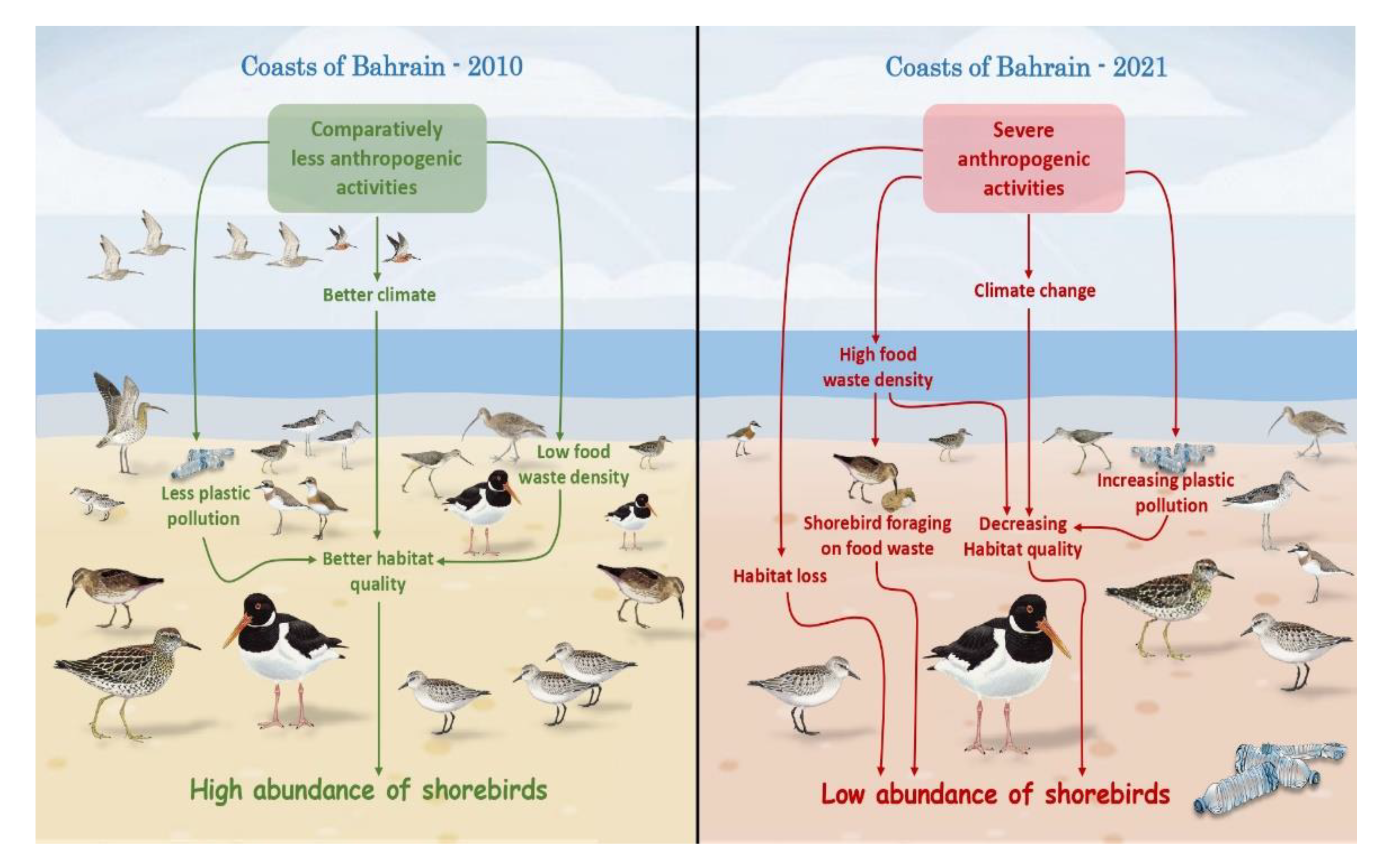 Diversity 15 00468 g005