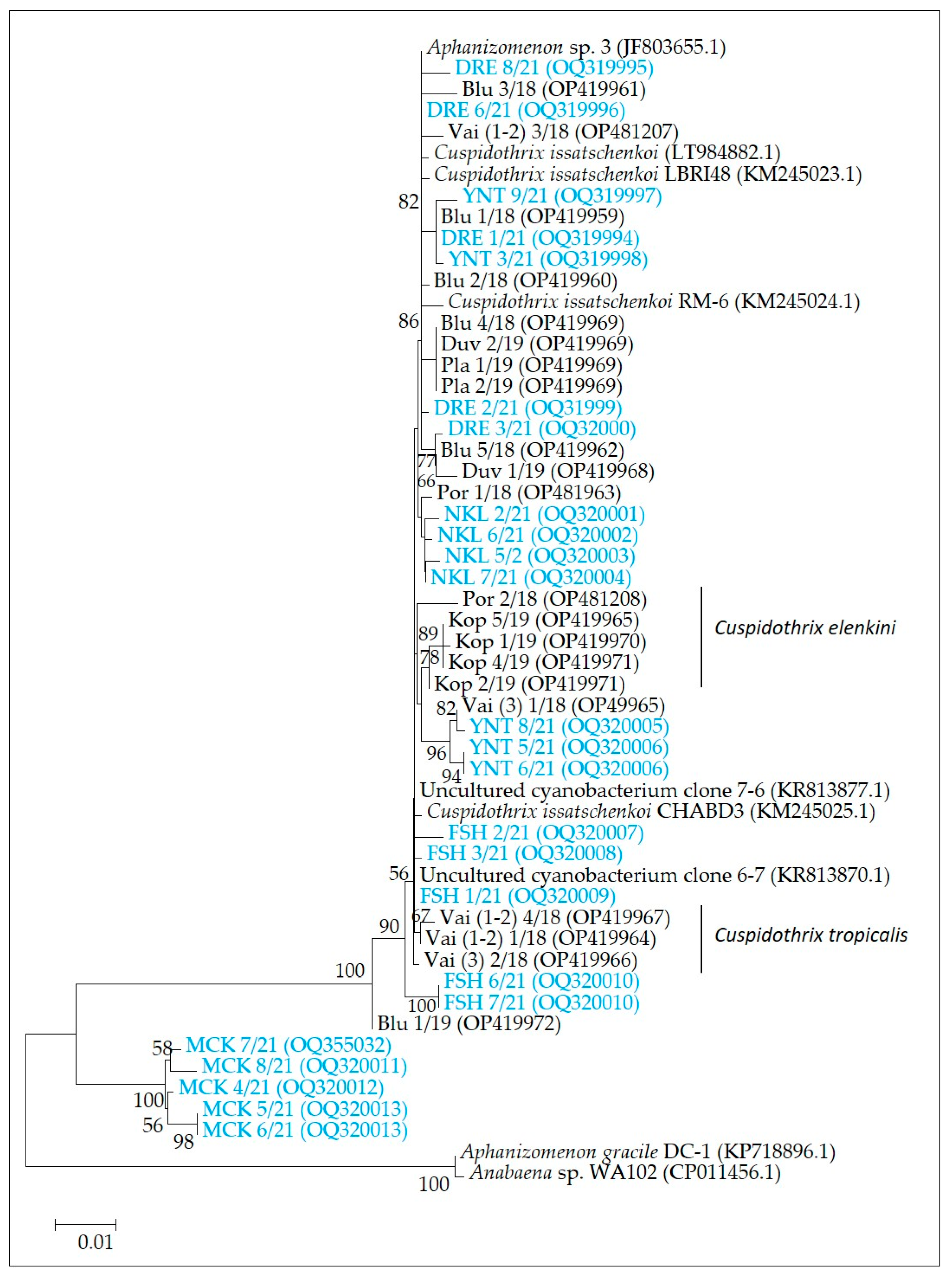 Diversity 15 00472 g008
