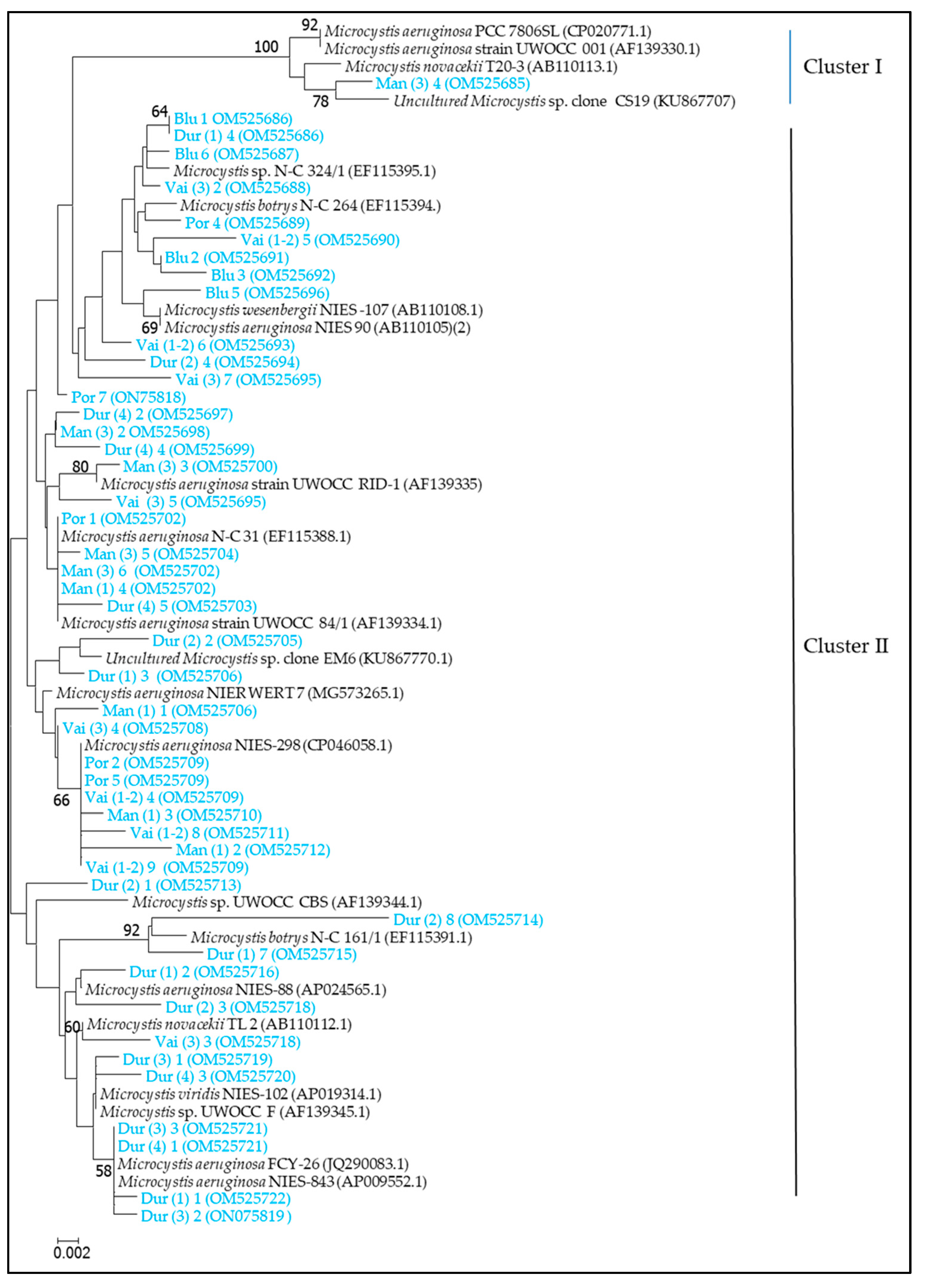 Diversity 15 00472 g009