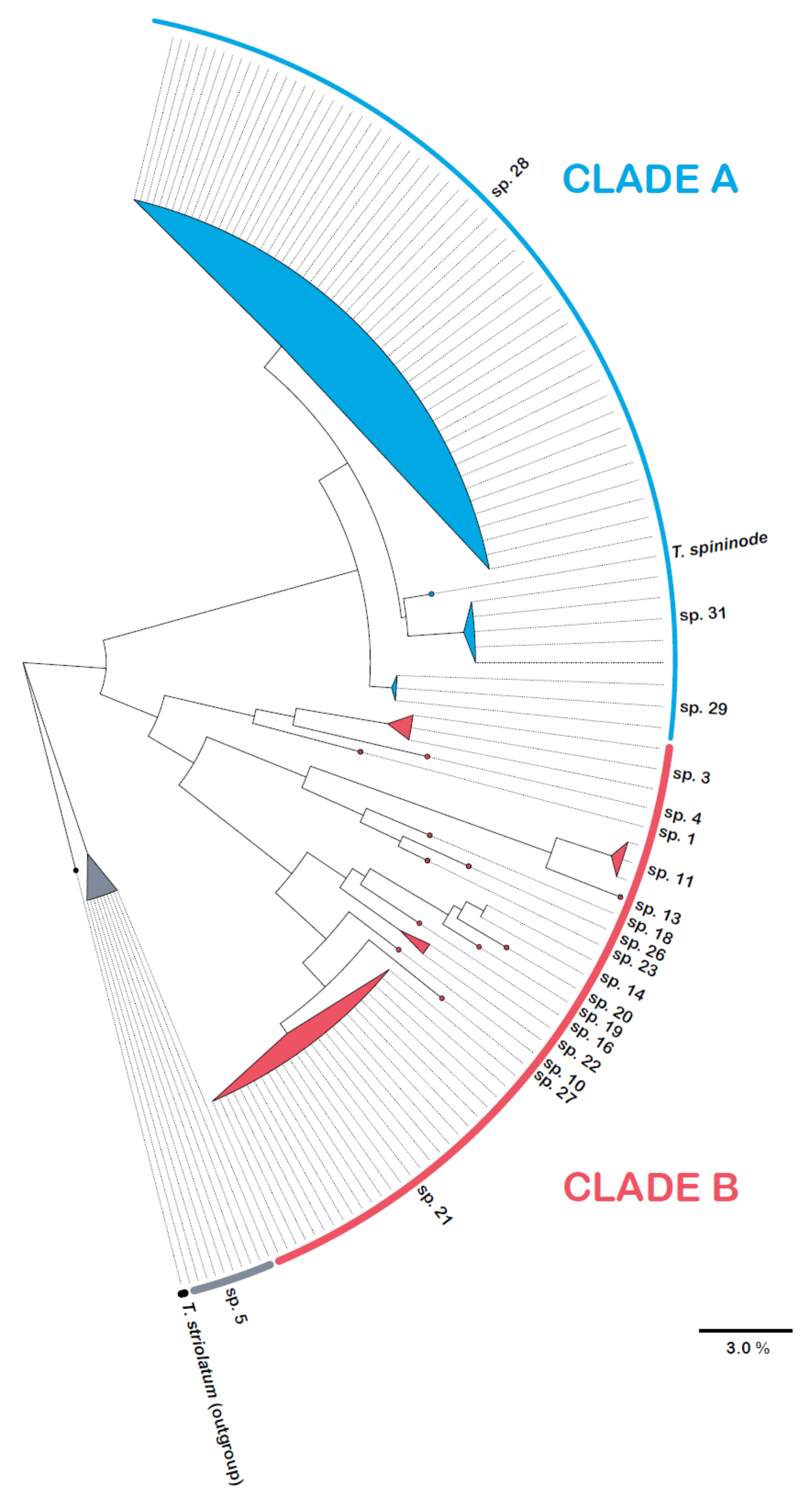 Diversity 15 00476 g007