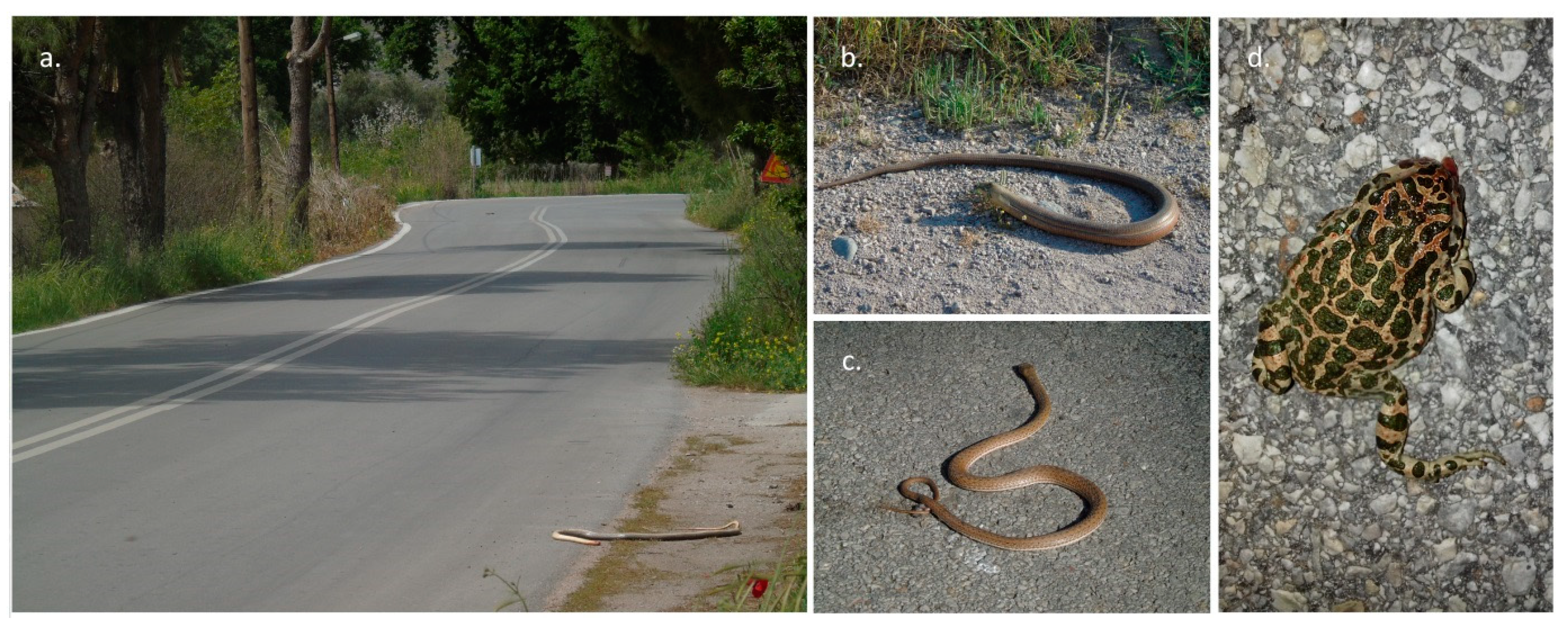 Diversity 15 00478 g002 Diversity 15 00478 g002