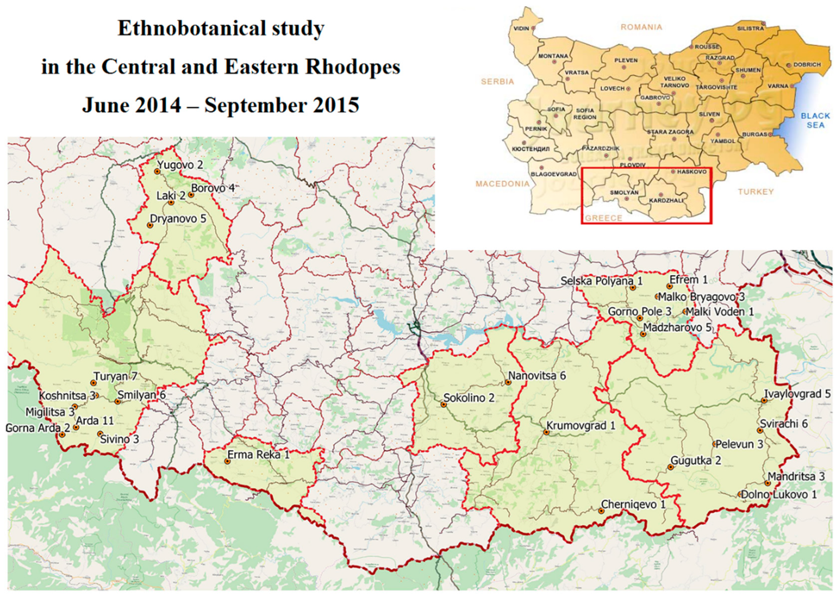 Diversity 15 00482 g001