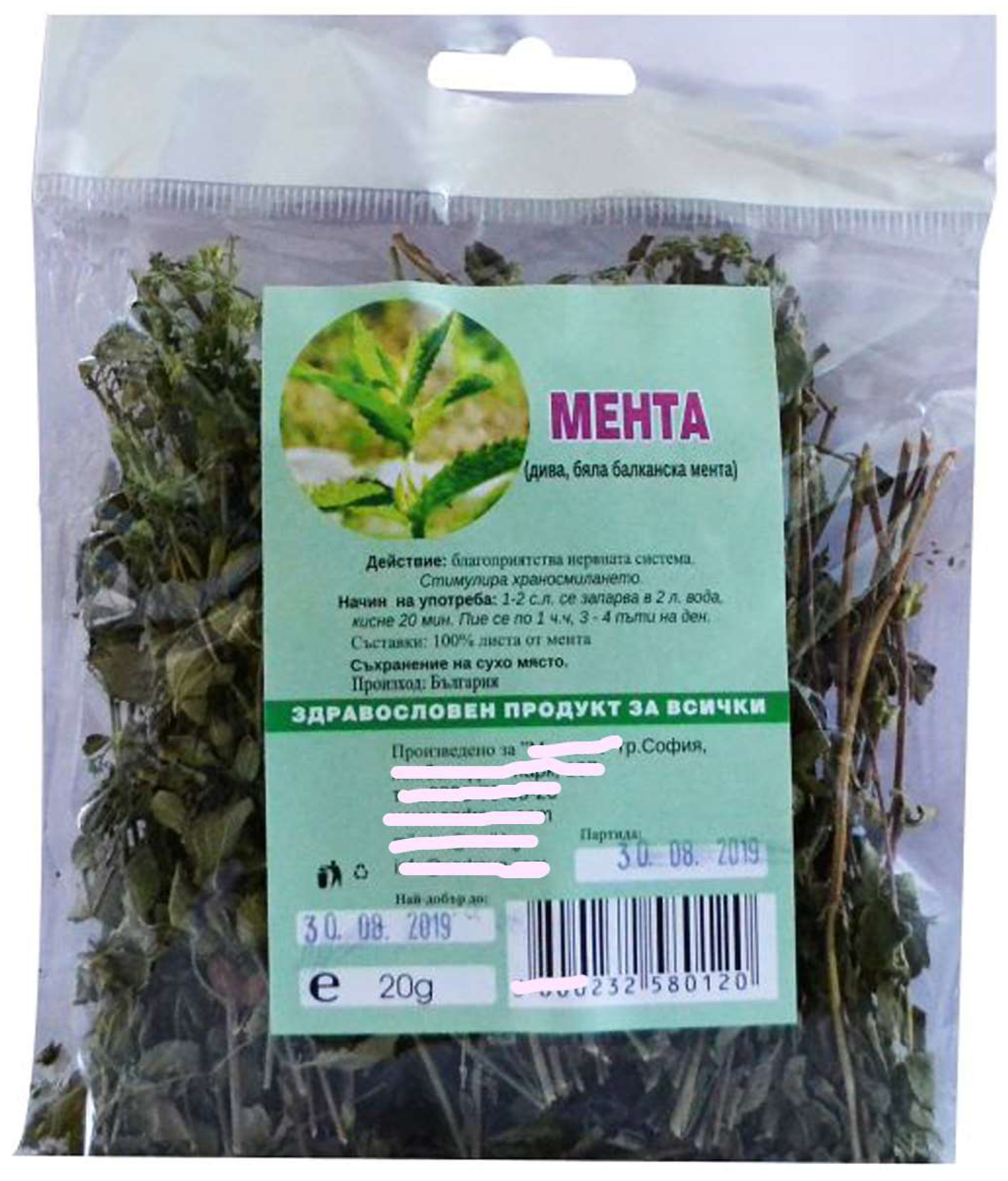 Diversity 15 00482 g010