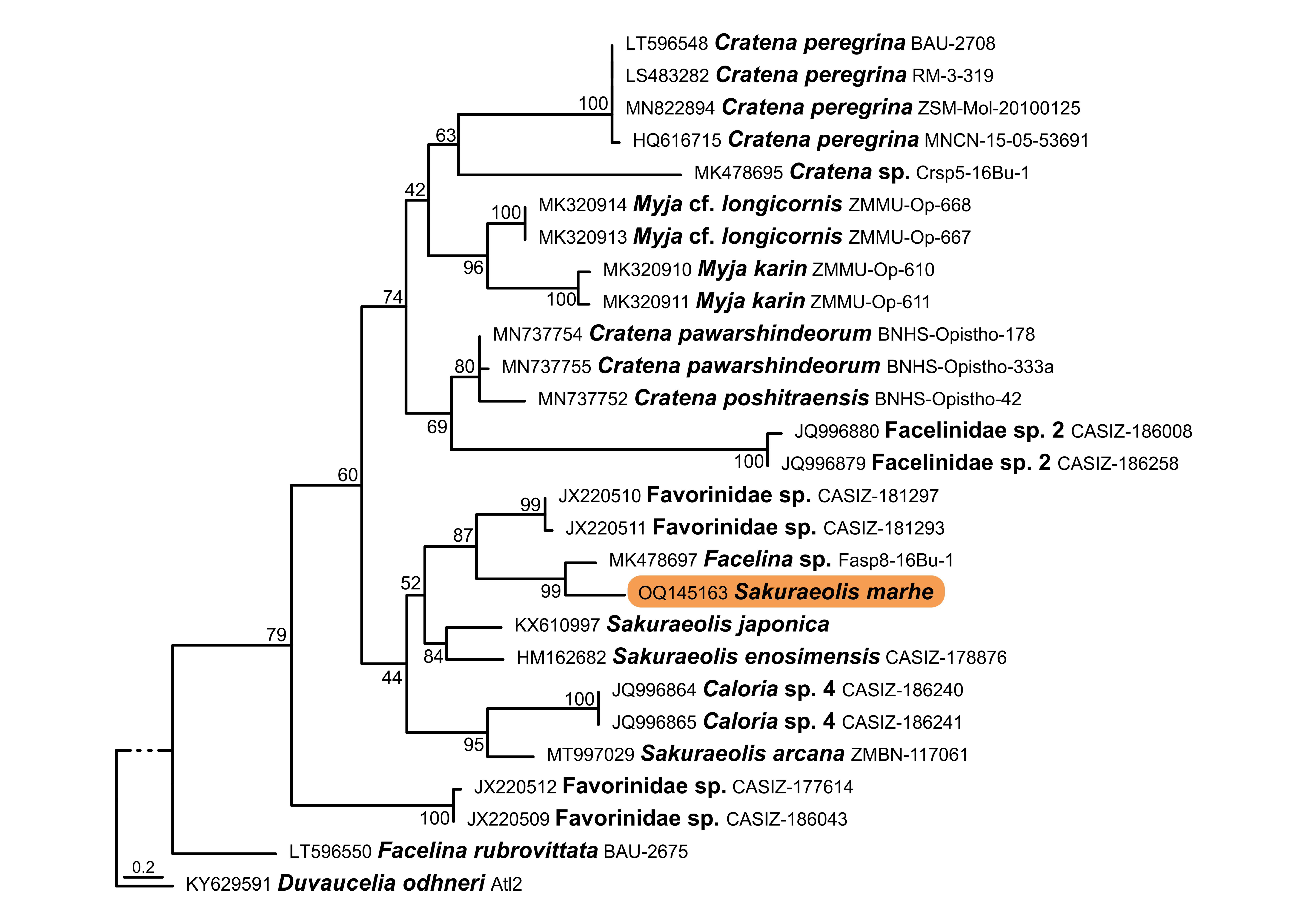 Diversity 15 00484 g003 Diversity 15 00484 g003
