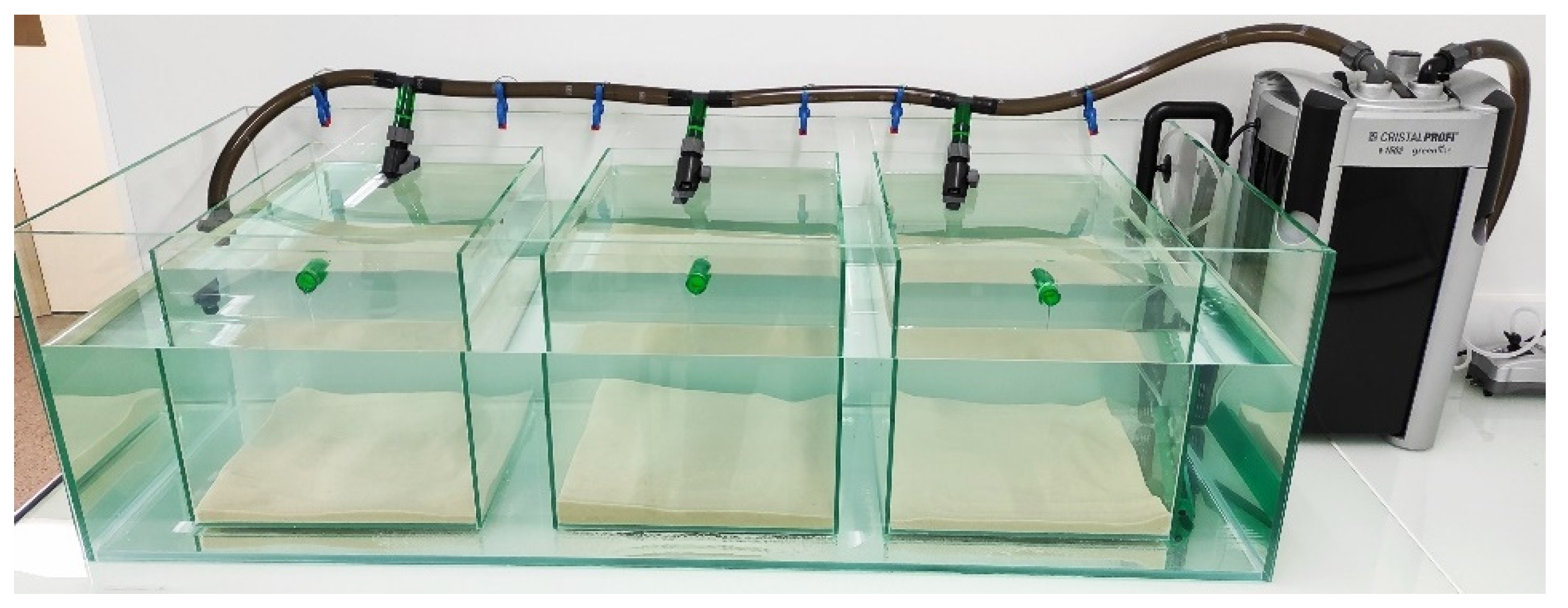 Diversity 15 00485 g001