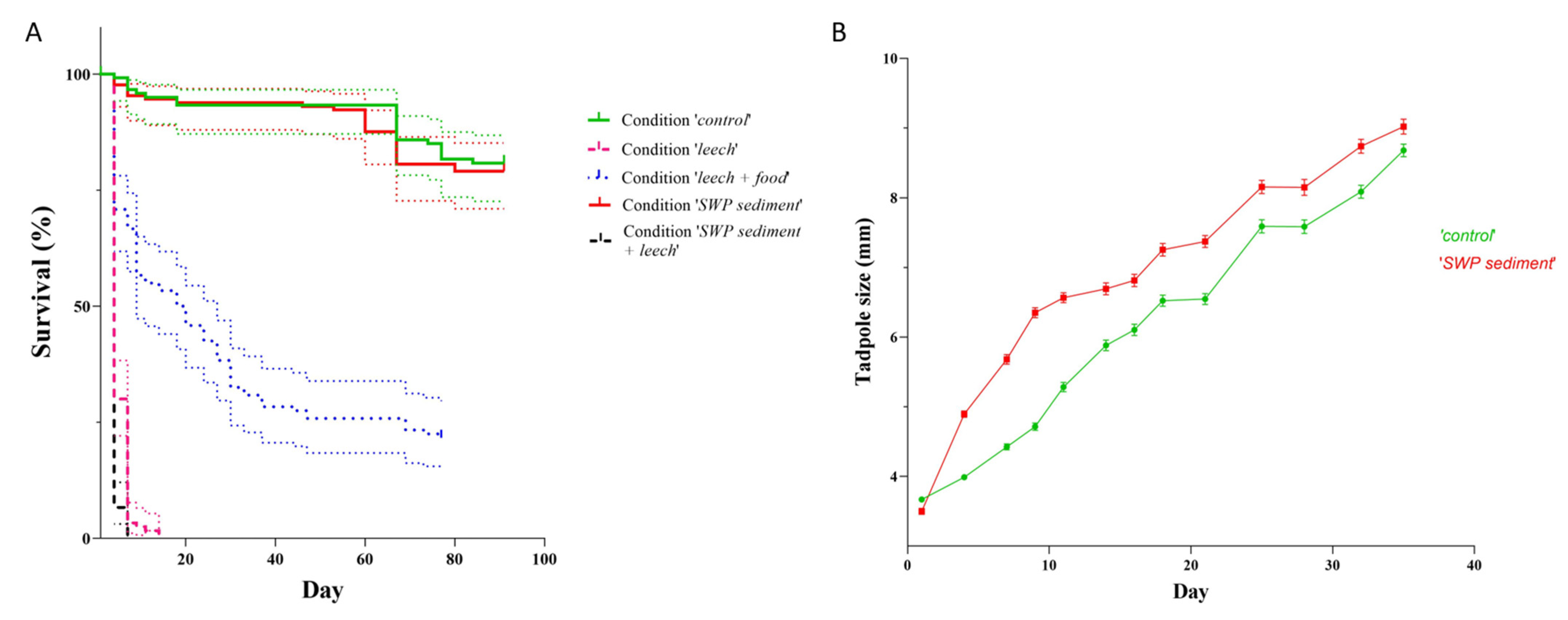 Diversity 15 00485 g003