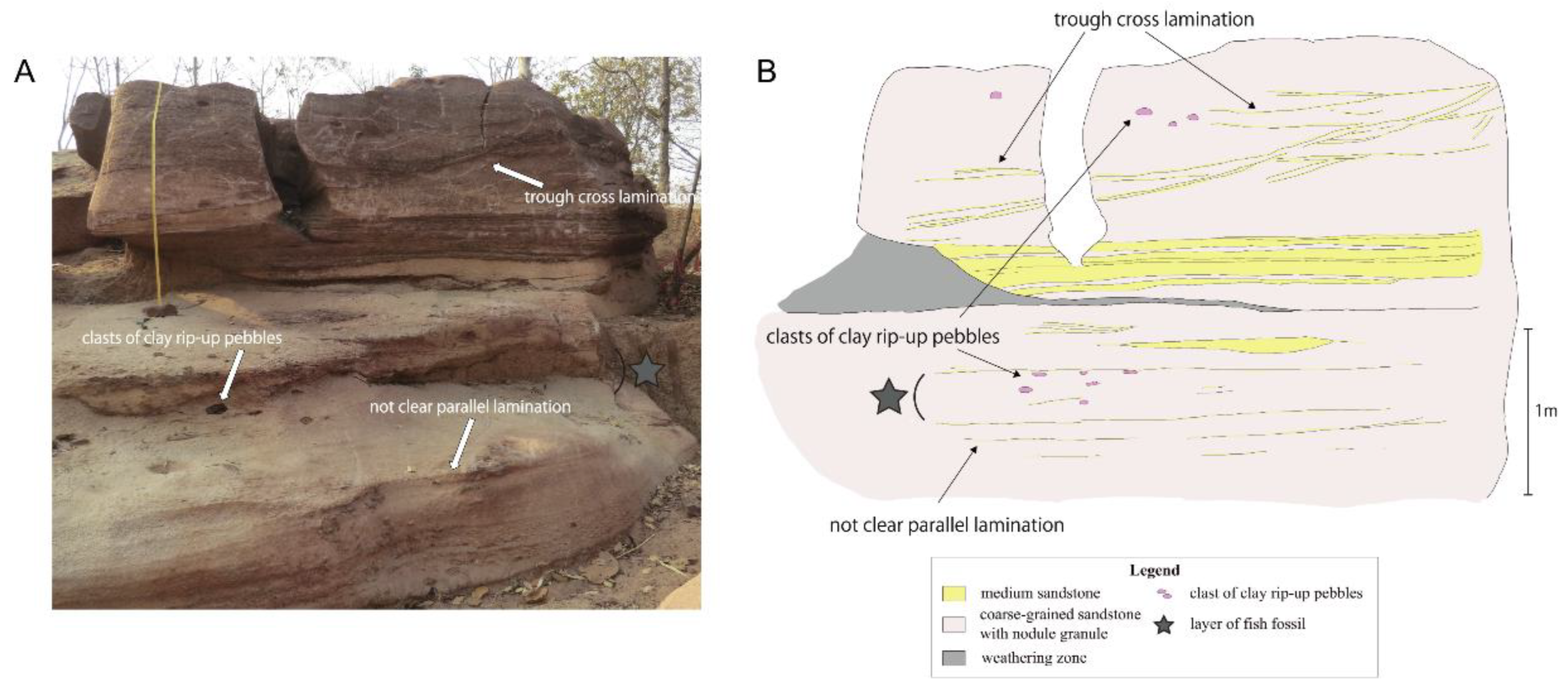 Diversity 15 00491 g002
