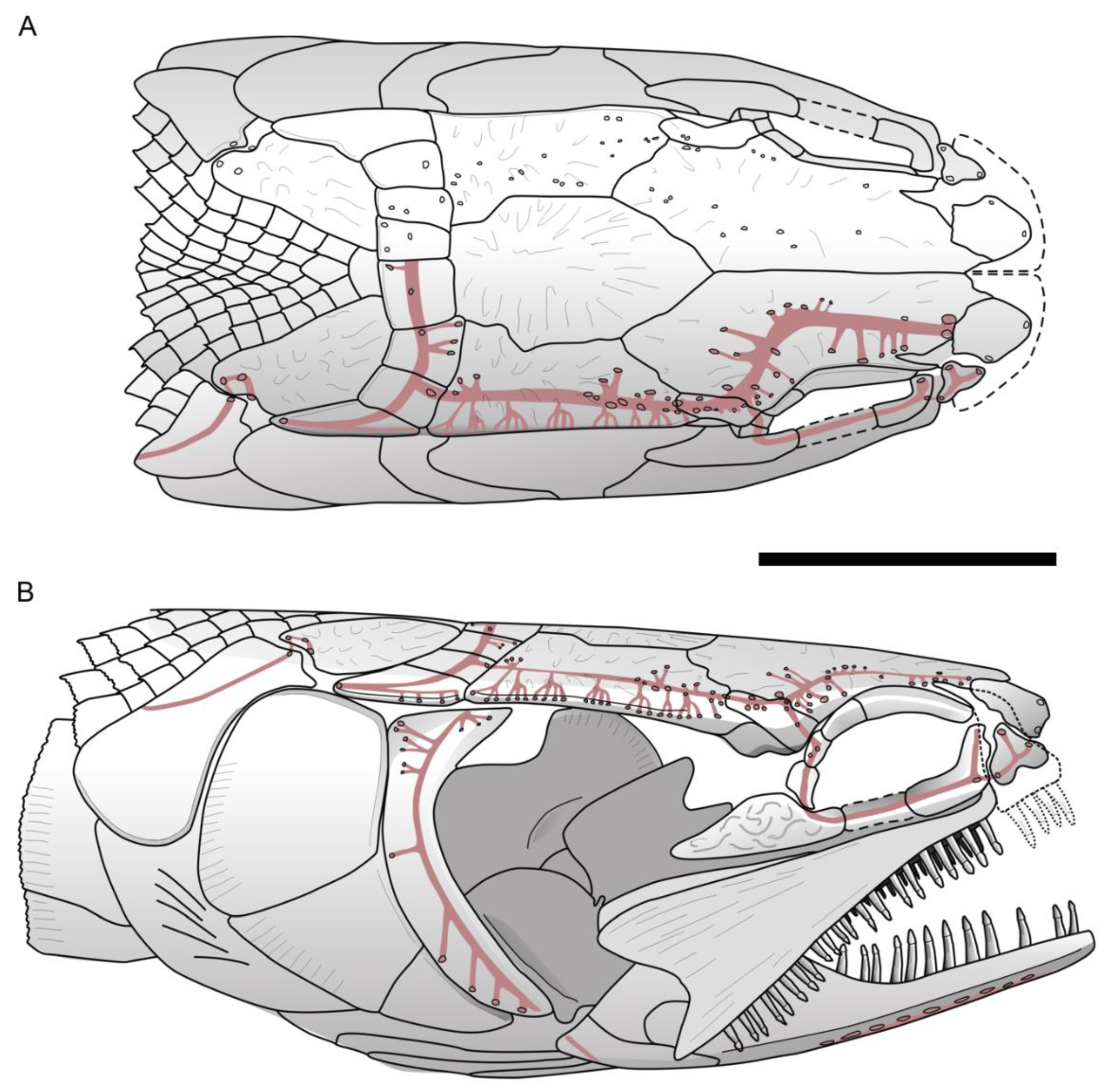 Diversity 15 00491 g006
