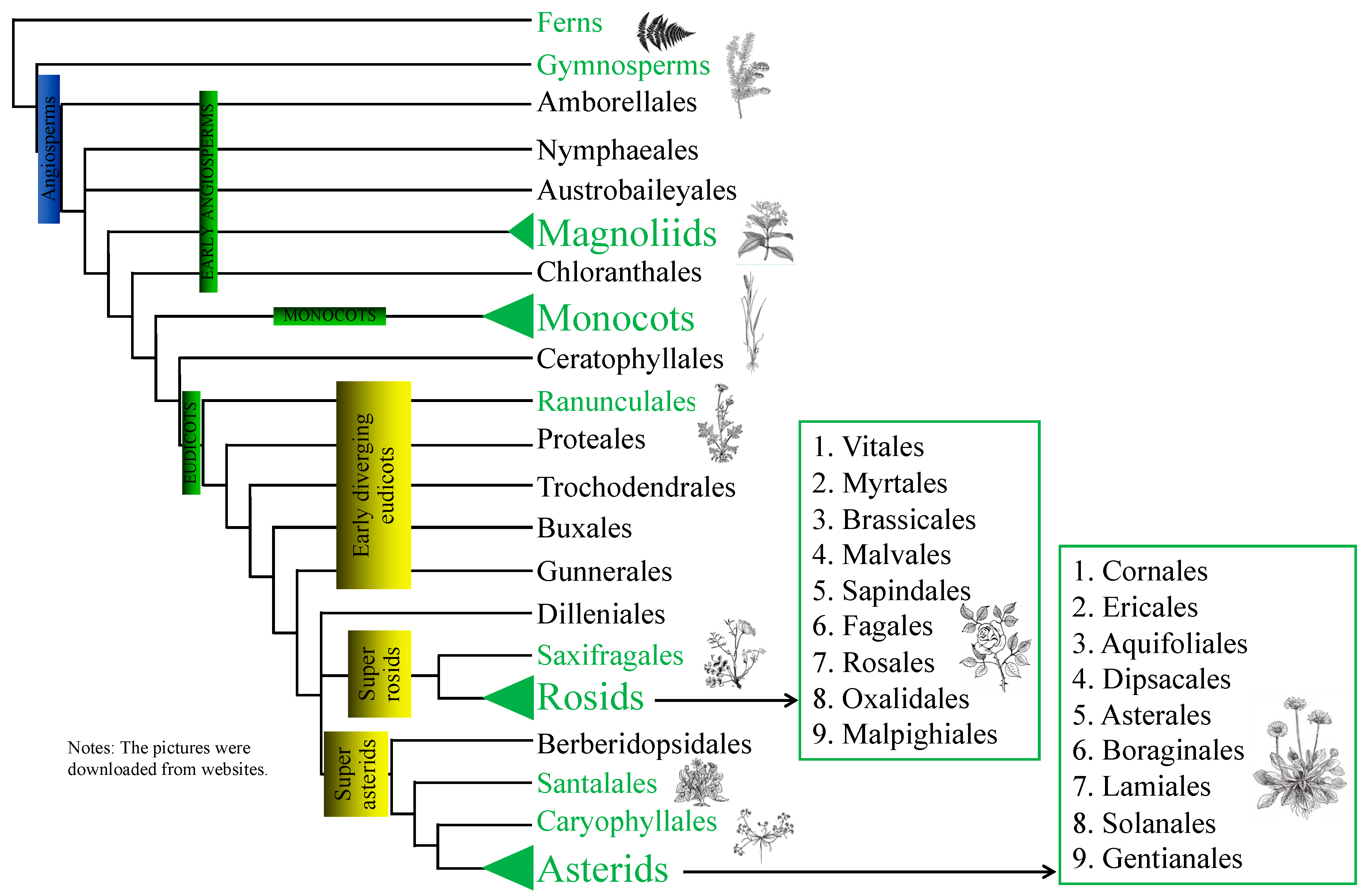Diversity 15 00492 g004