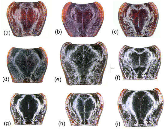 Diversity 15 00493 g014