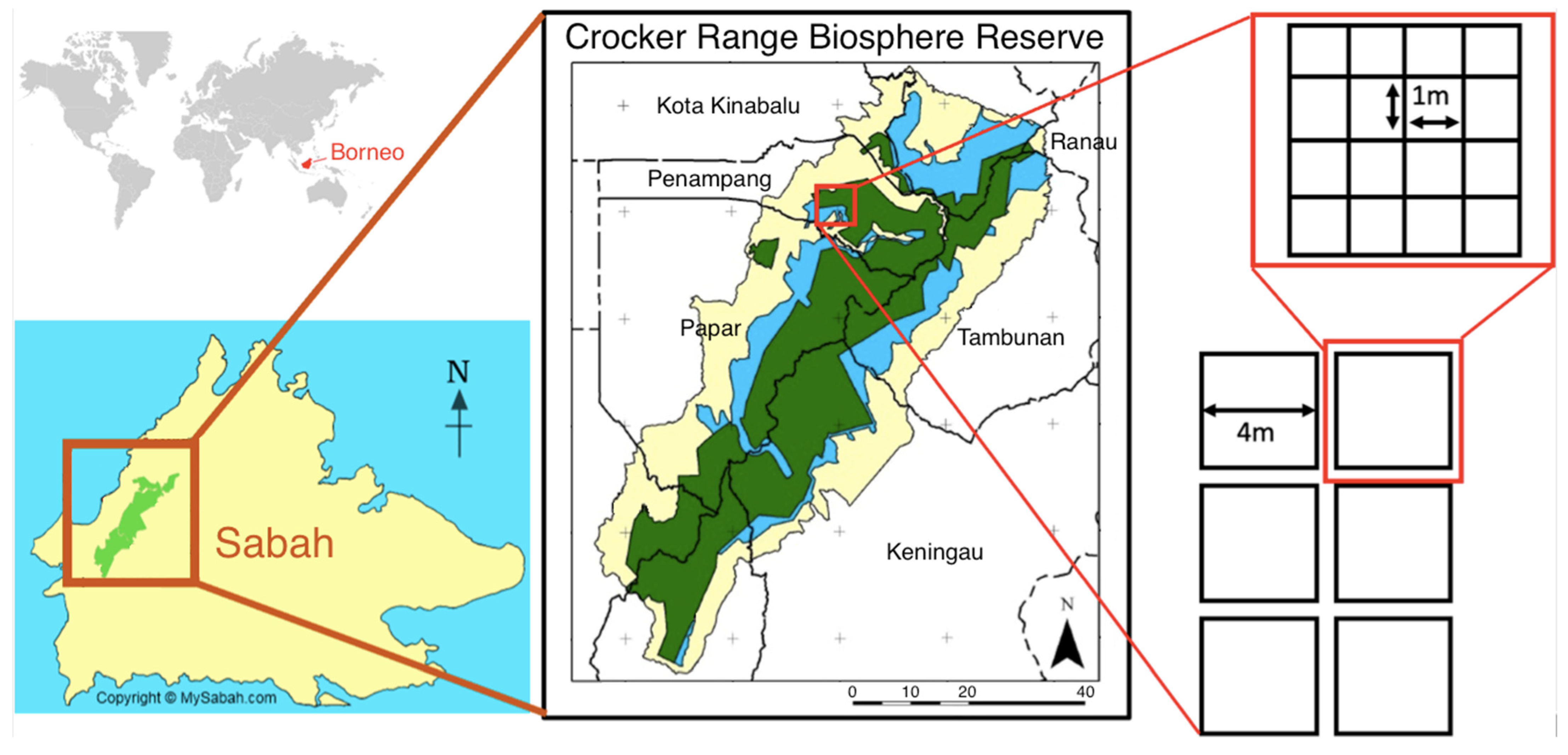 Diversity 15 00494 g001