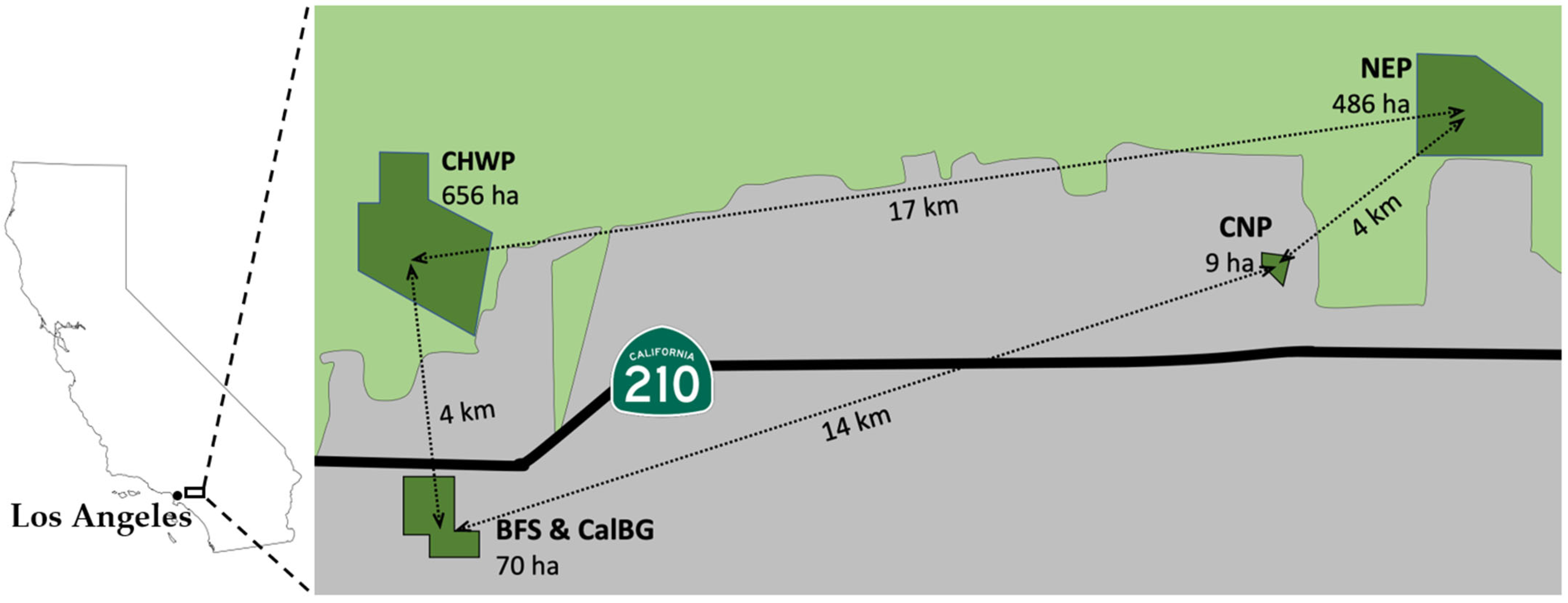 Diversity 15 00498 g001