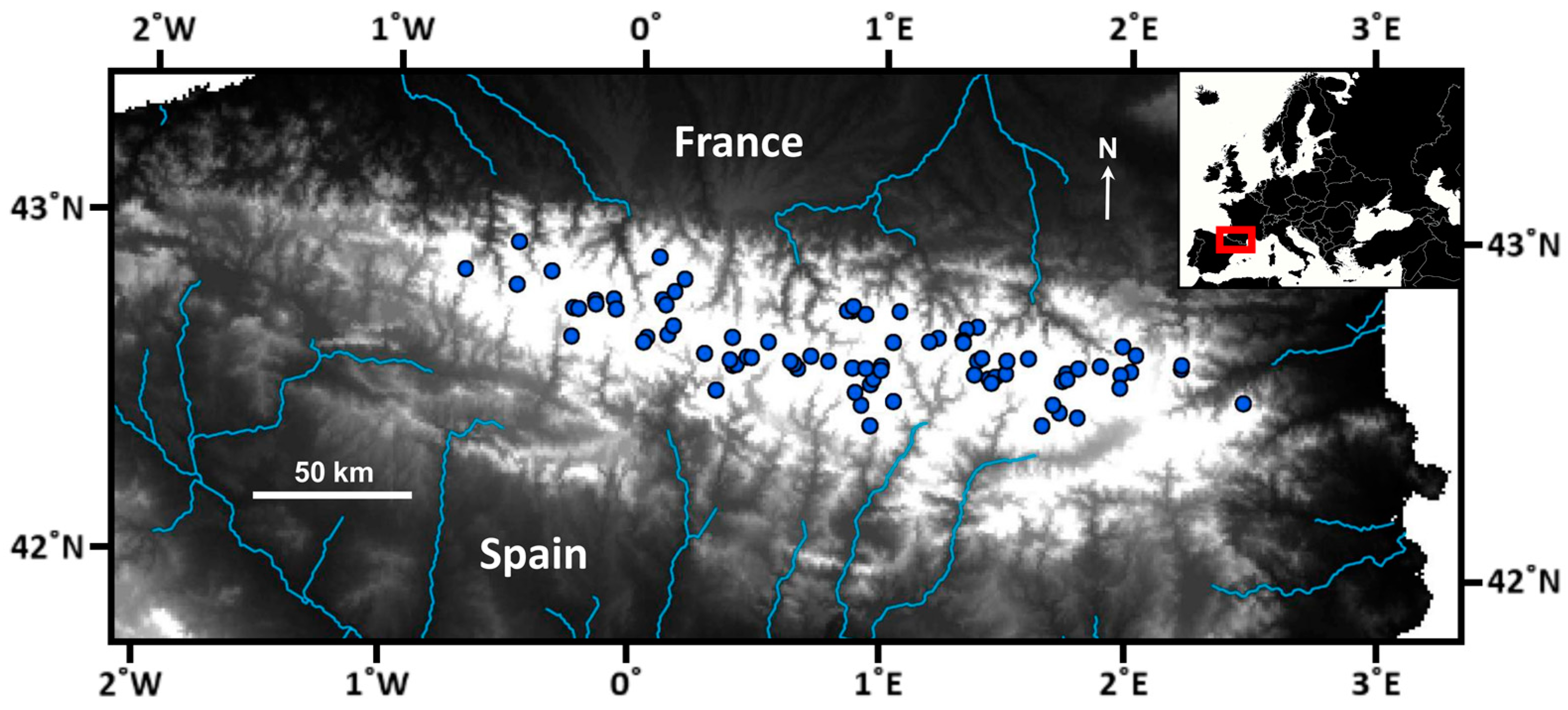 Diversity 15 00500 g001