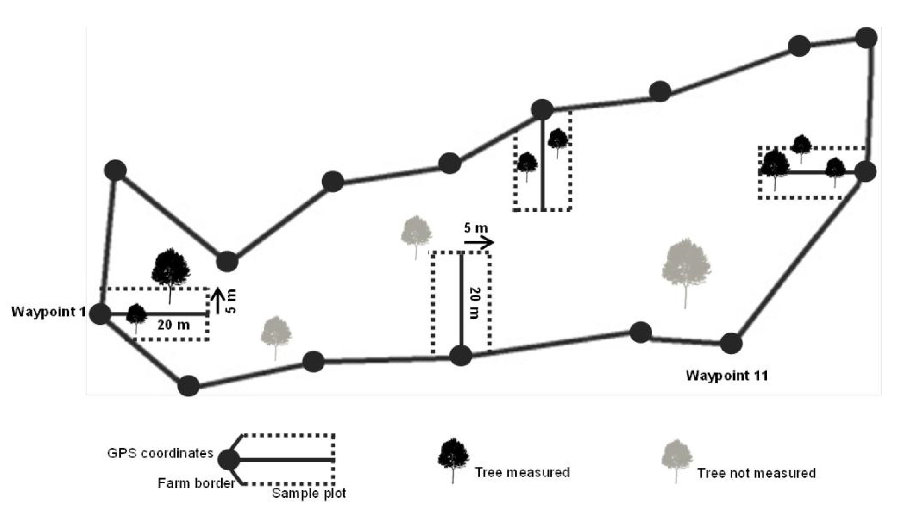 Diversity 15 00503 g002