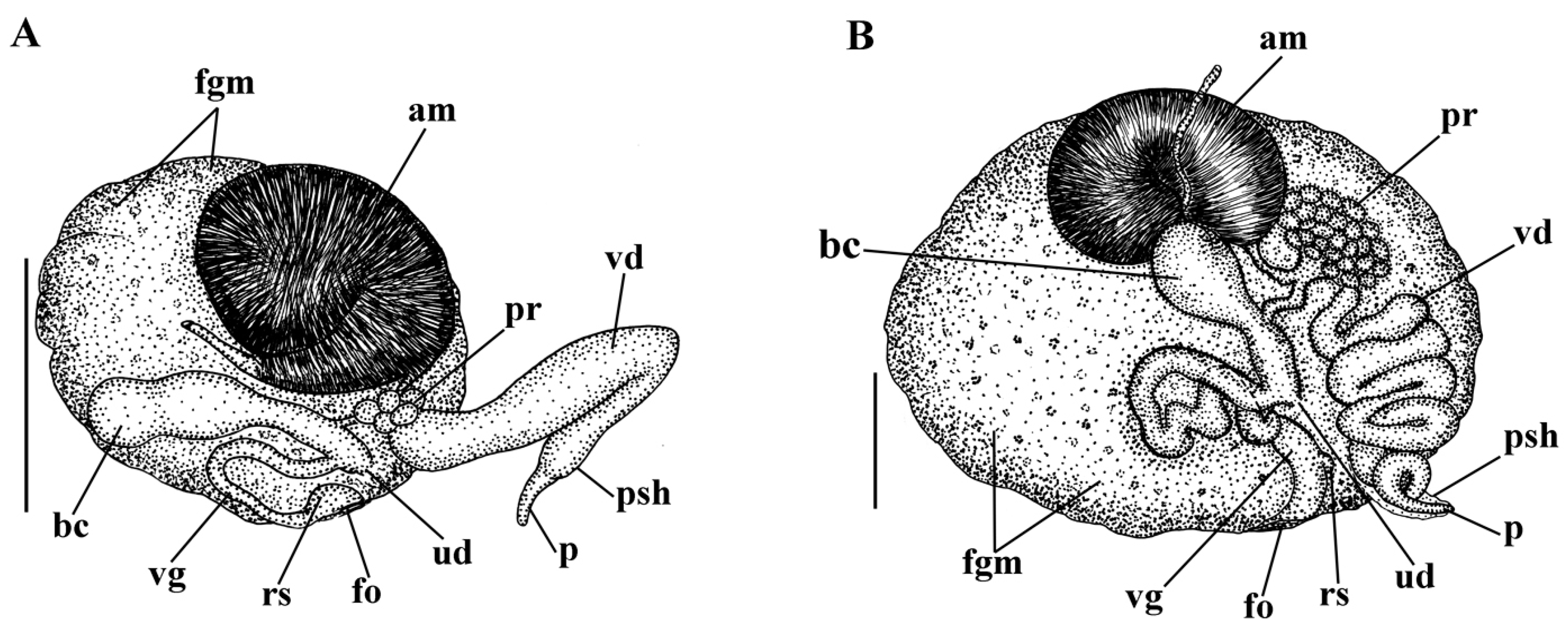 Diversity 15 00504 g002