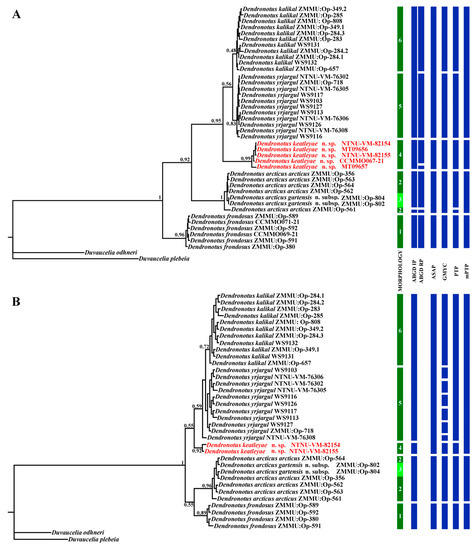 Diversity 15 00504 g005