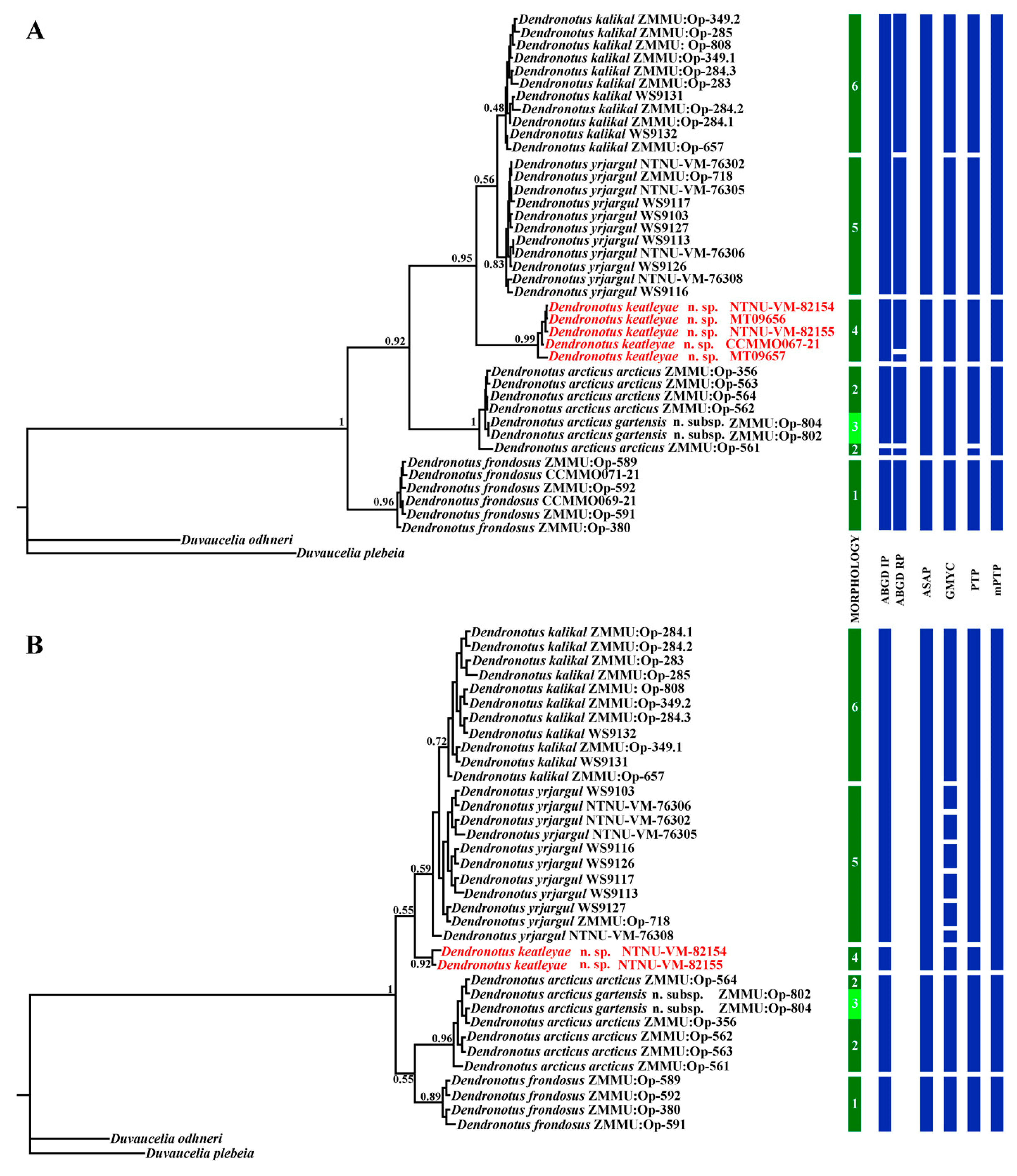 Diversity 15 00504 g005