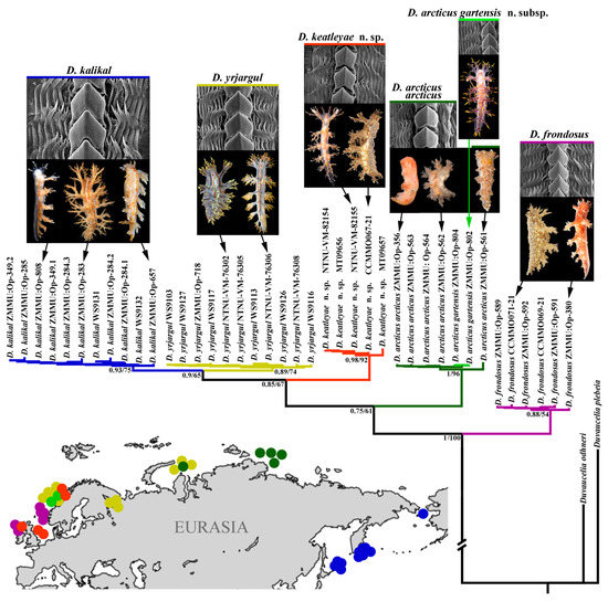 Diversity 15 00504 g006