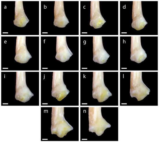 Diversity 15 00517 g0a13