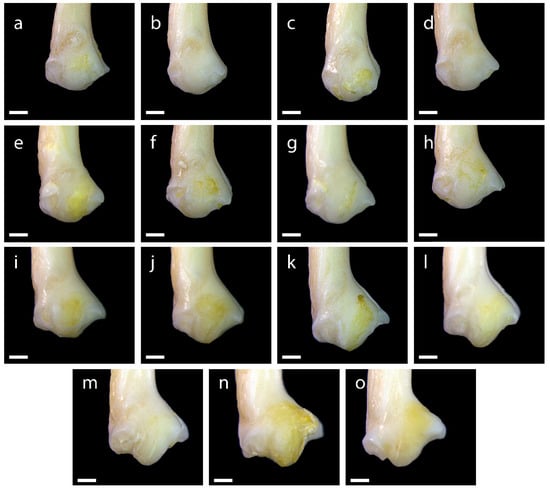 Diversity 15 00517 g0a14