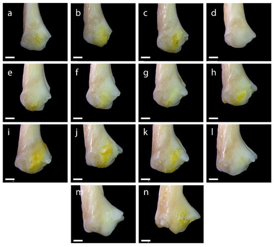 Diversity 15 00517 g0a15