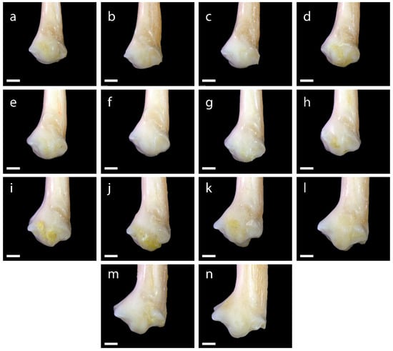 Diversity 15 00517 g0a18