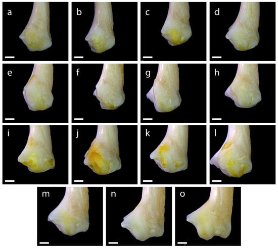 Diversity 15 00517 g0a20
