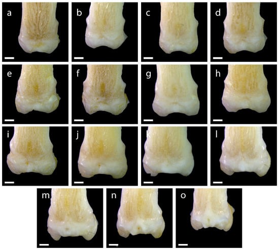 Diversity 15 00517 g0a9