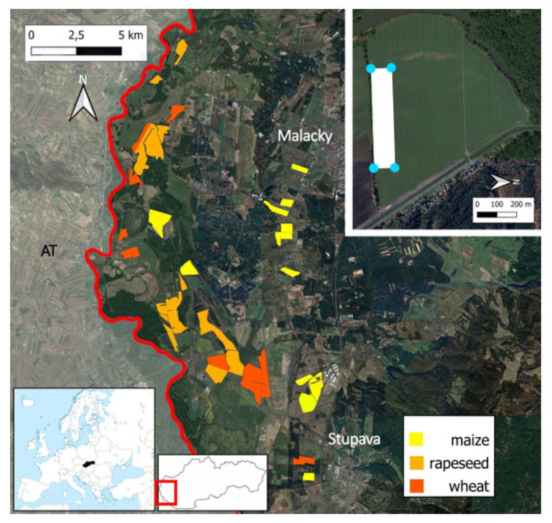 Diversity 15 00524 g001