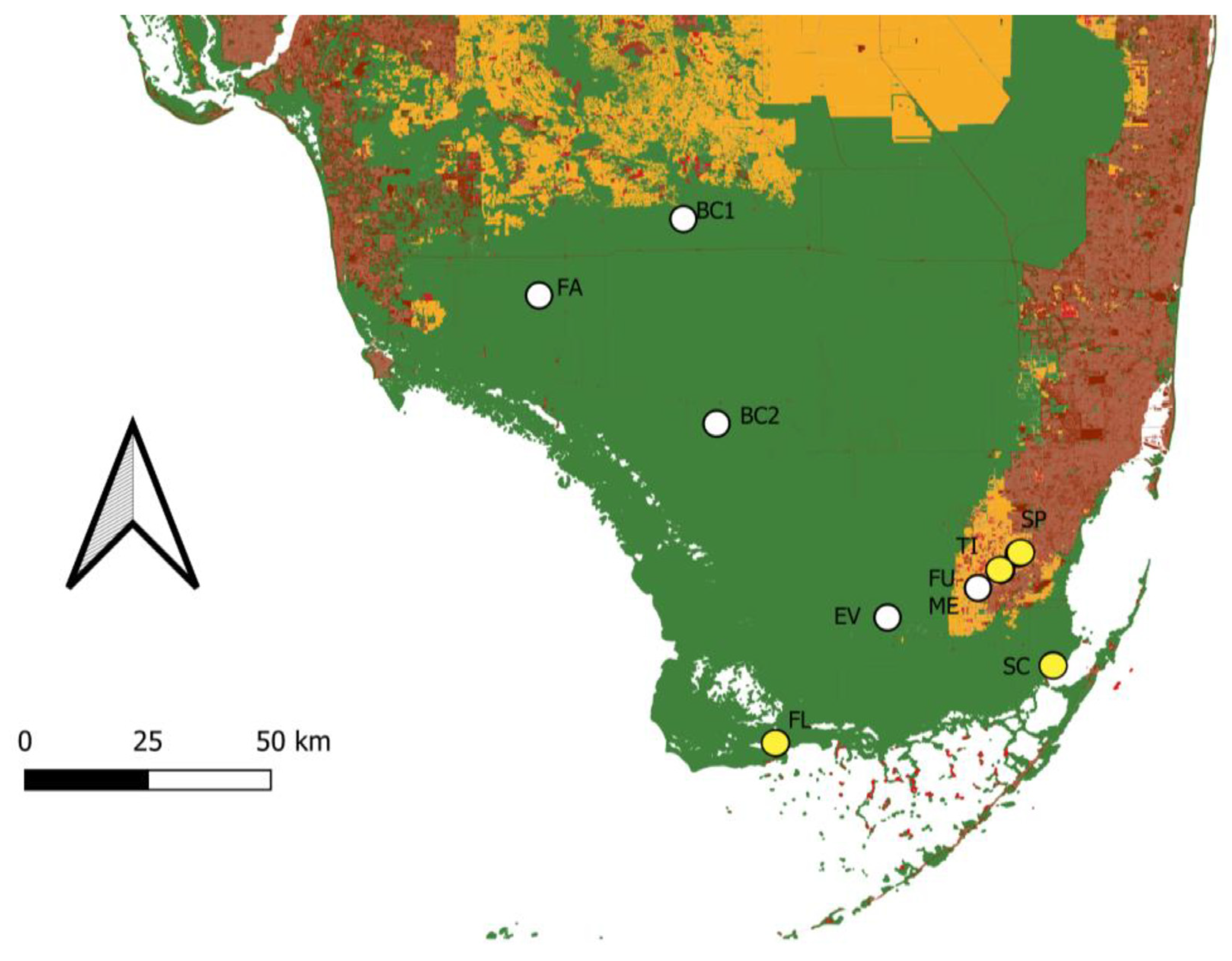 Diversity 15 00525 g002