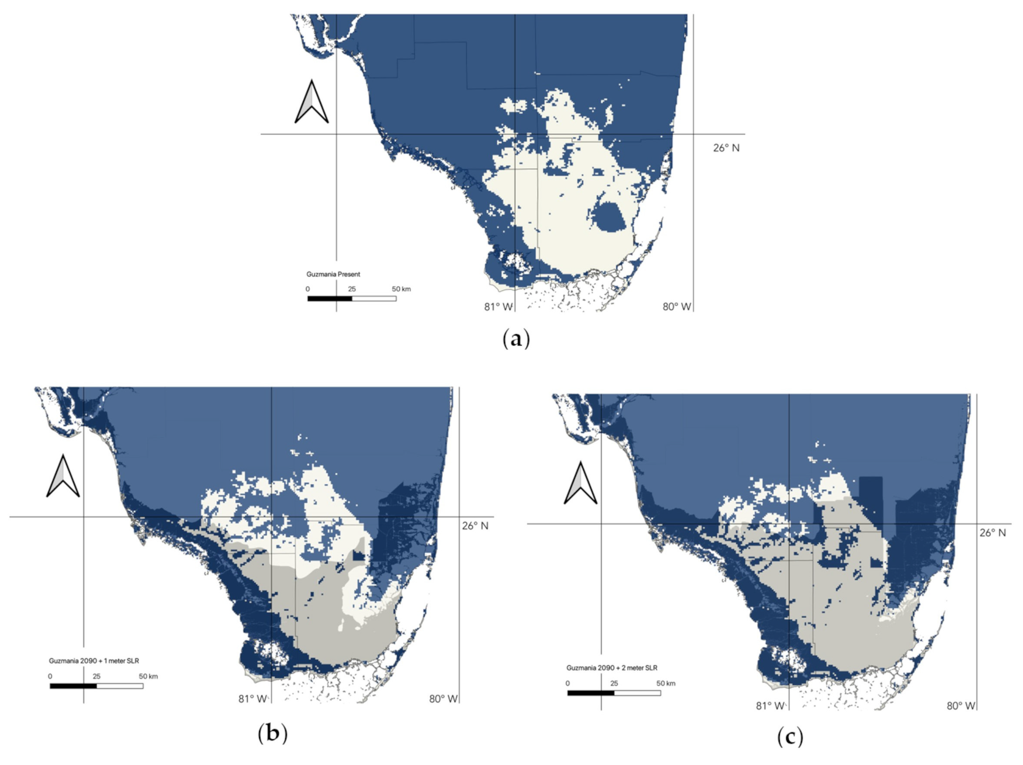 Diversity 15 00525 g004