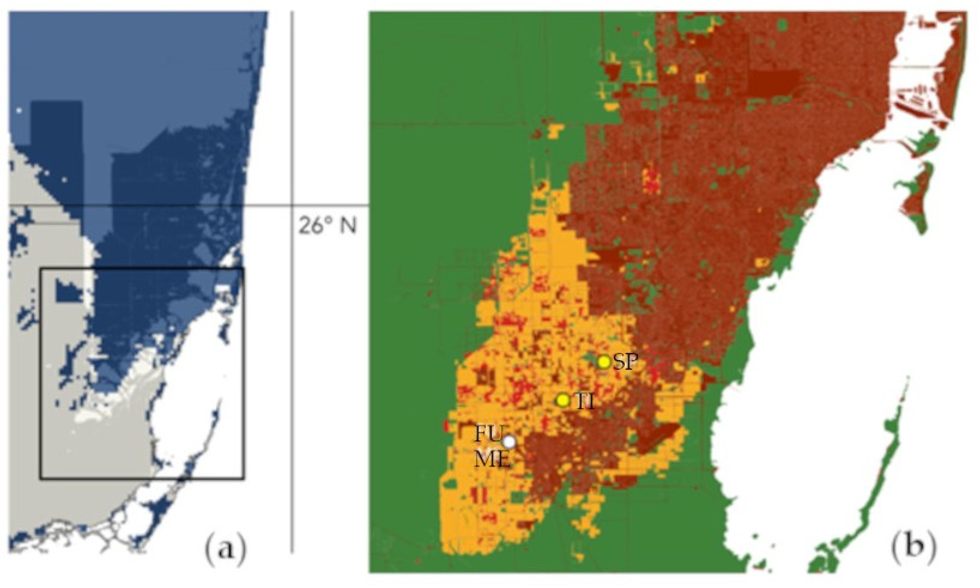Diversity 15 00525 g006