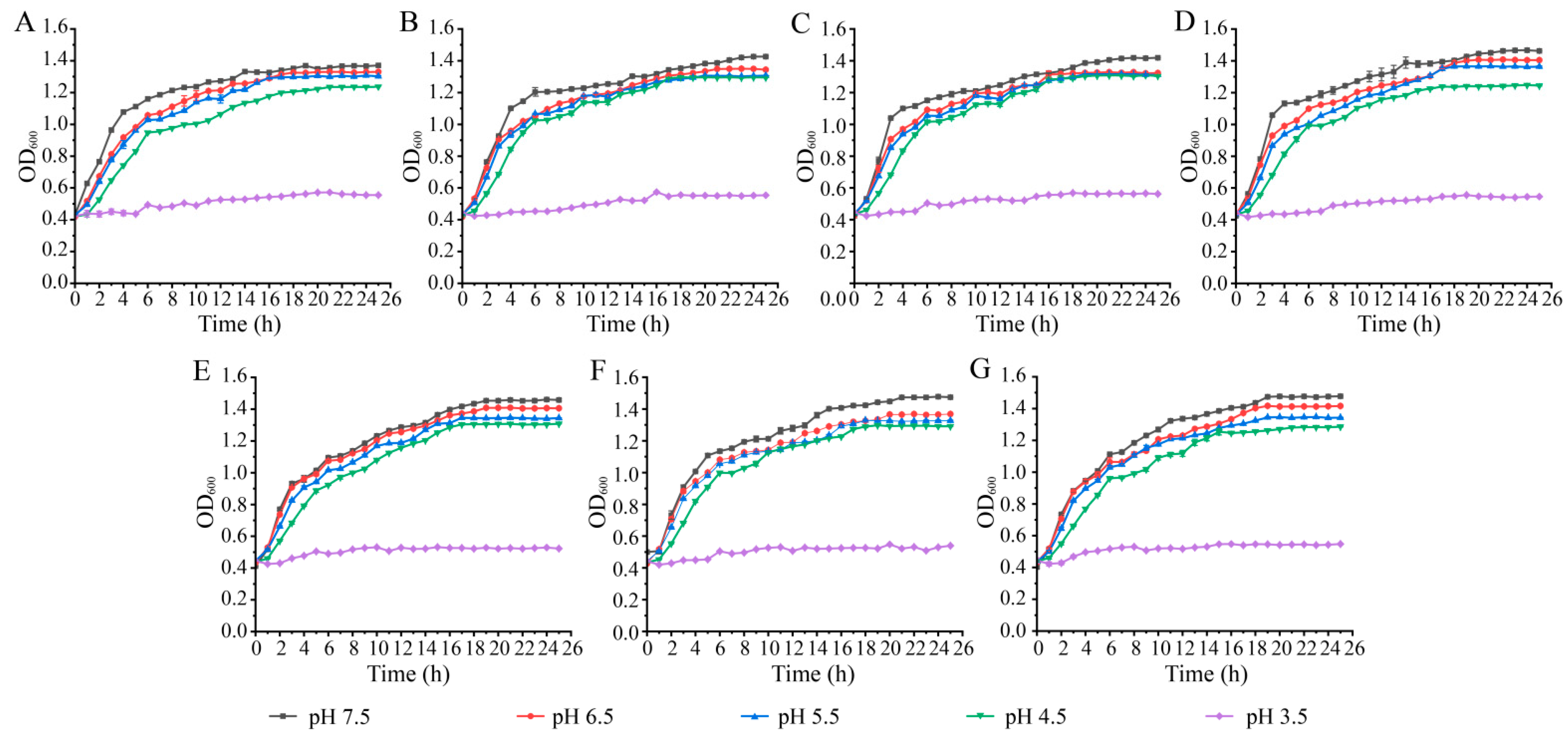 Diversity 15 00527 g001
