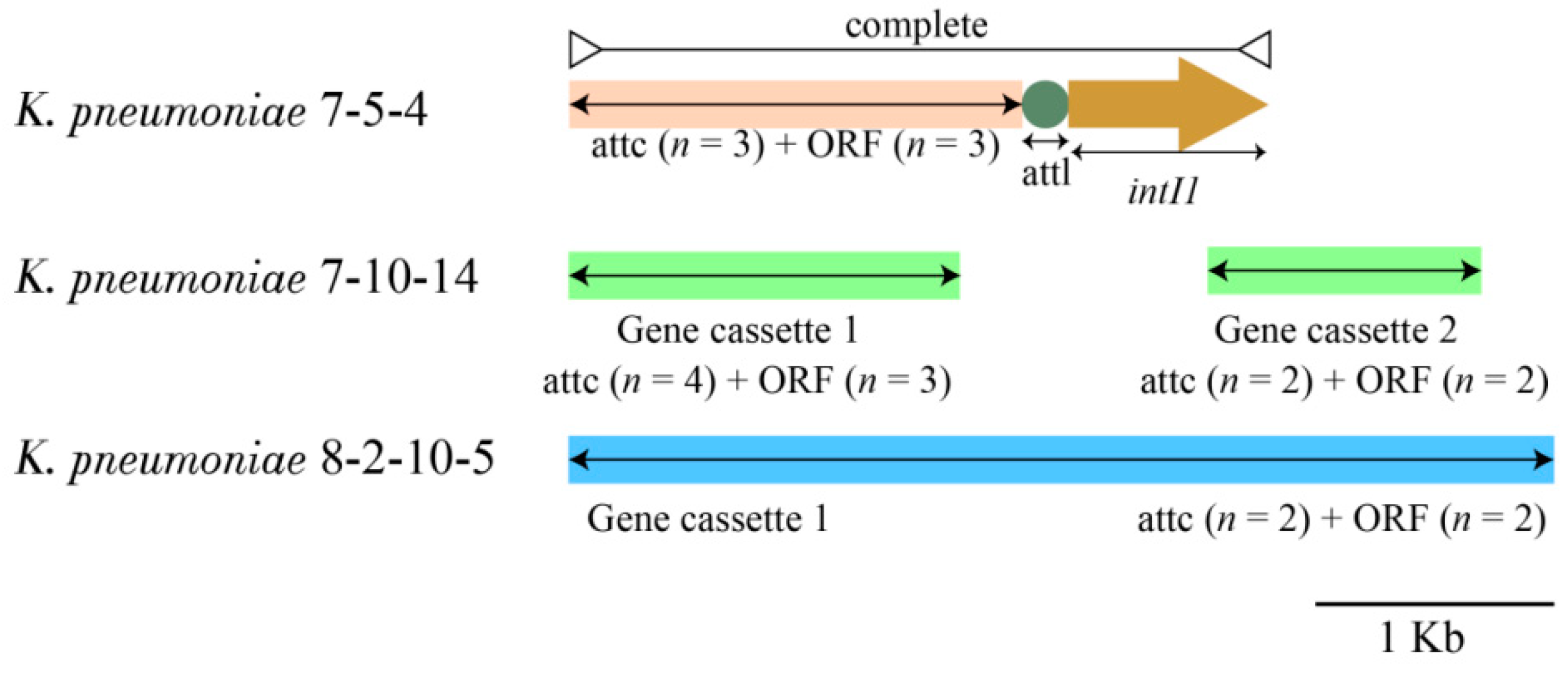Diversity 15 00527 g005