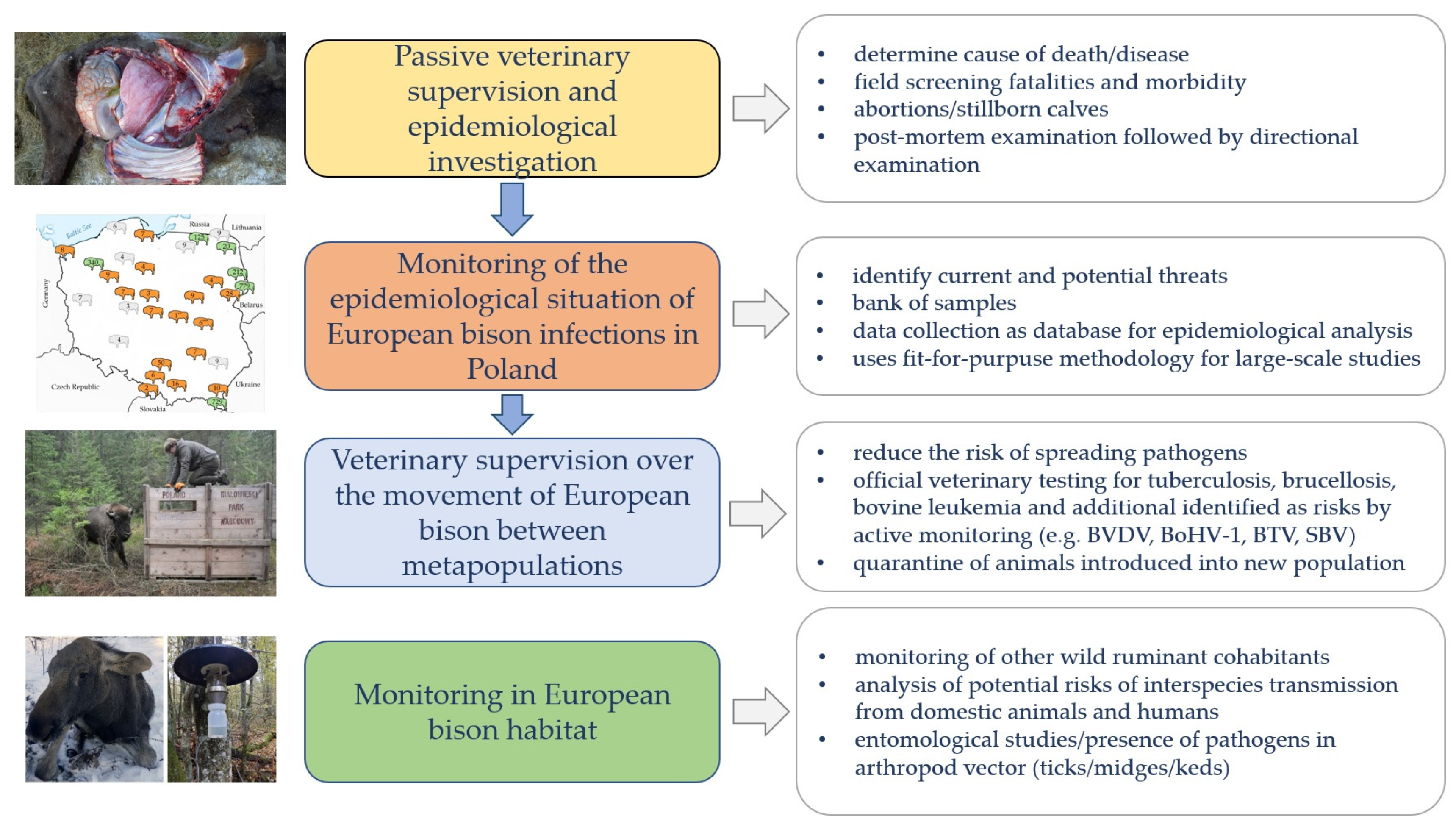Diversity 15 00535 g001