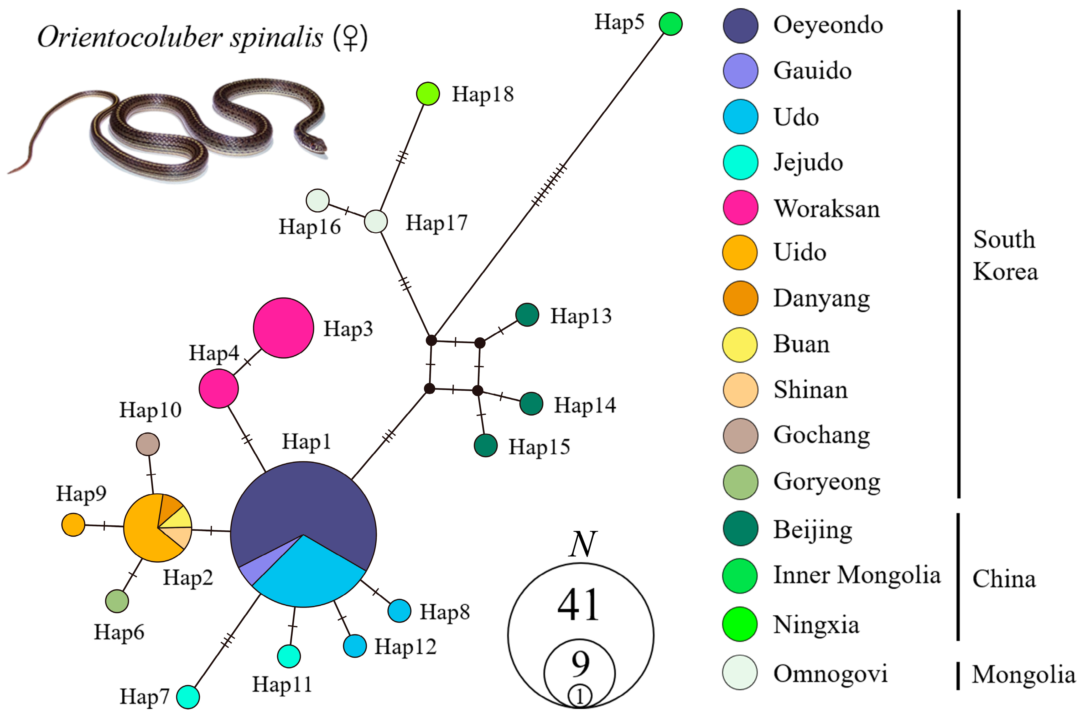 Diversity 15 00543 g003 Diversity 15 00543 g003