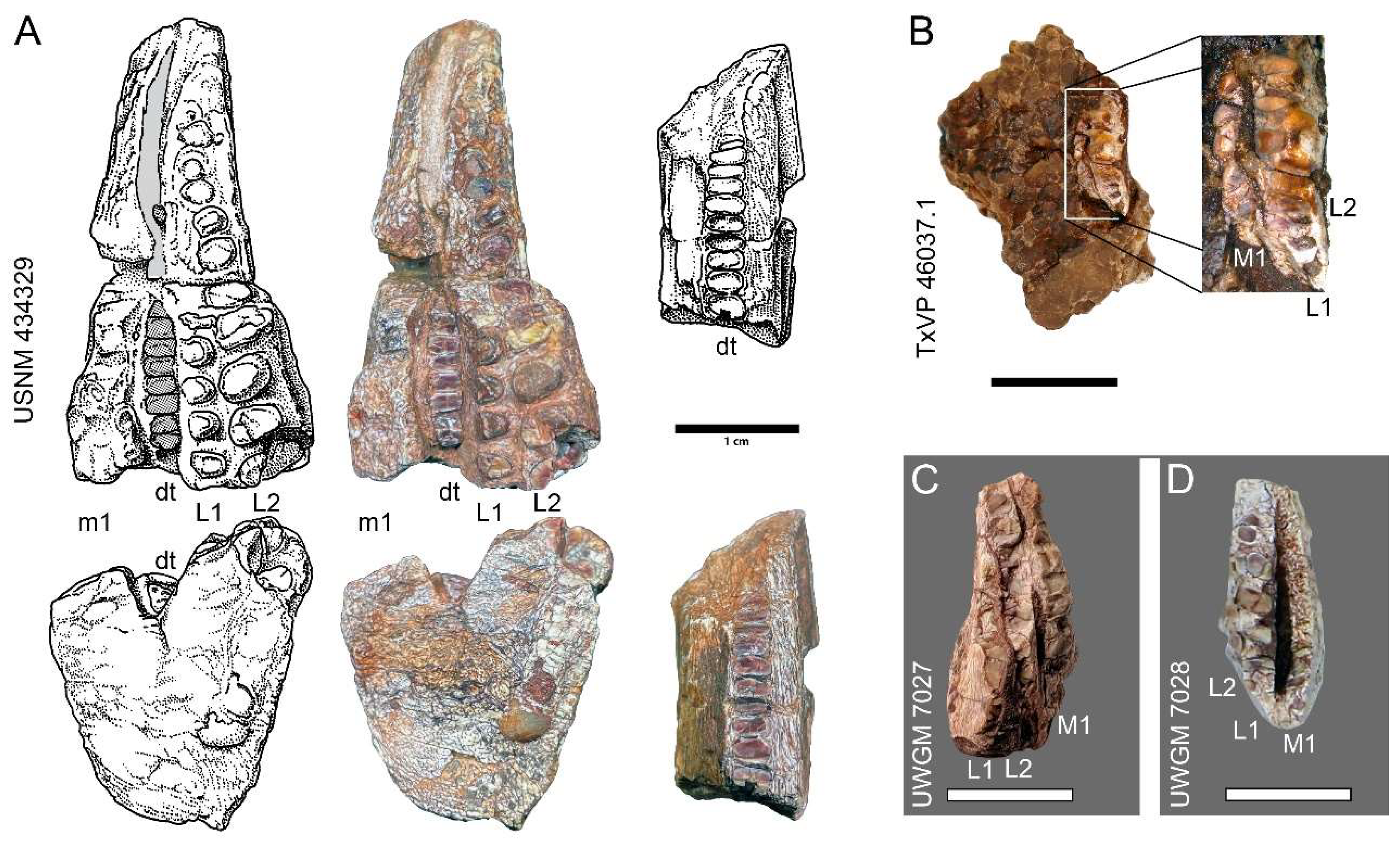 Diversity 15 00544 g003