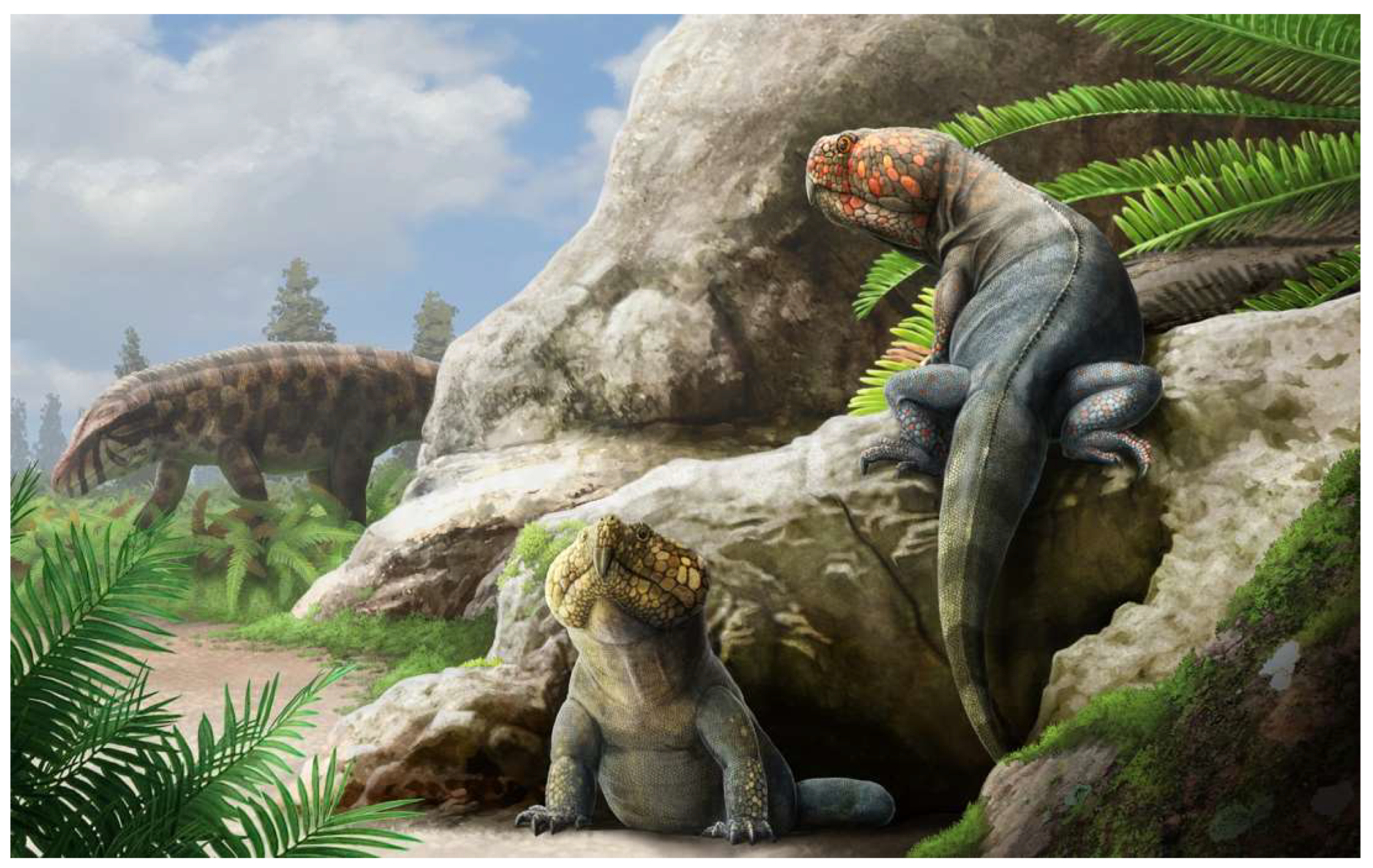 Diversity 15 00544 g006